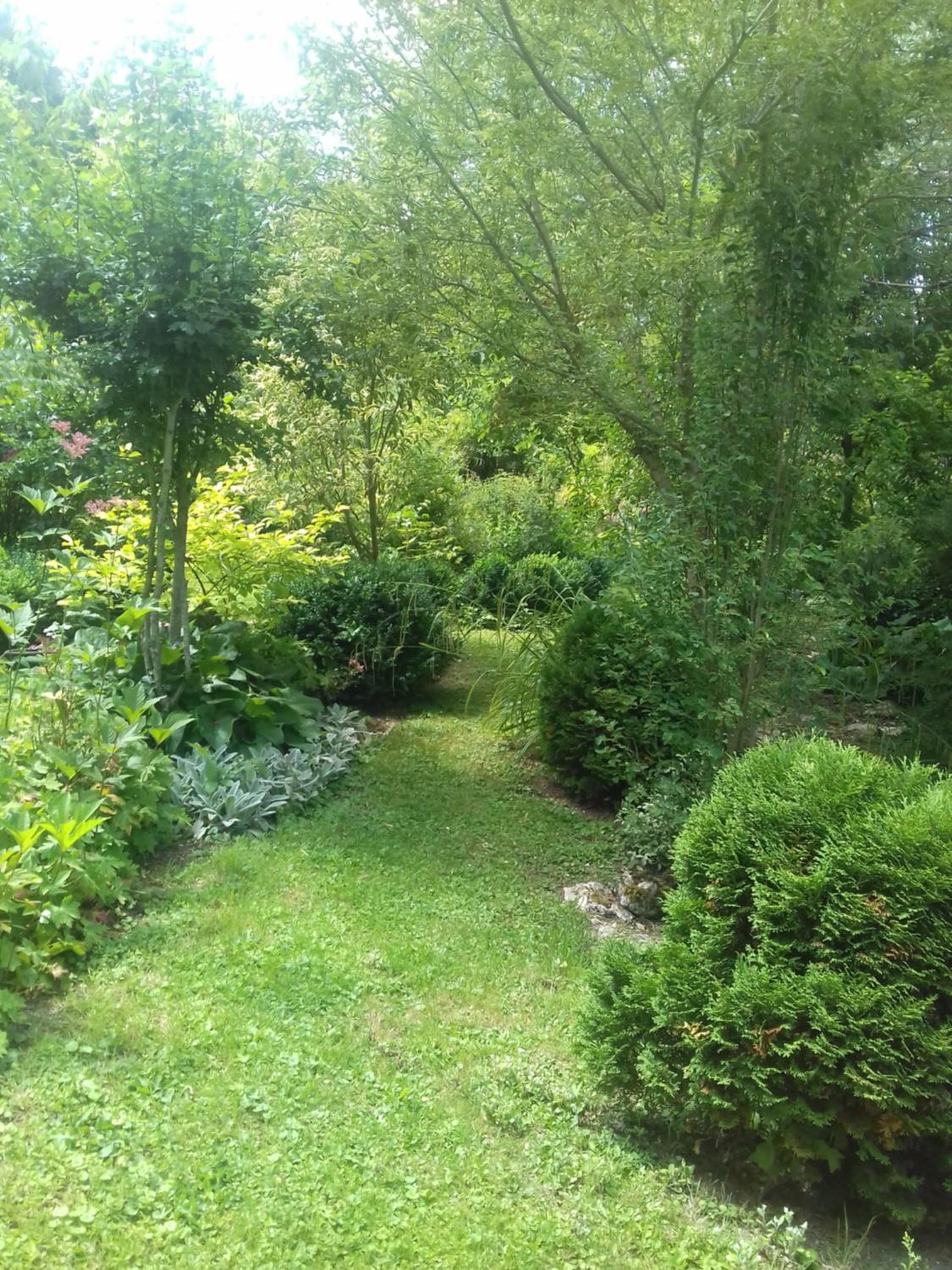 Photo 49
