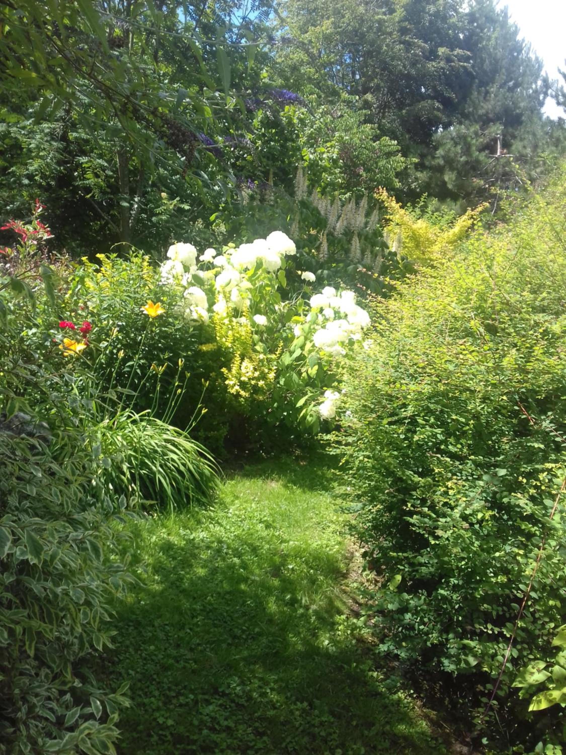 Photo 48