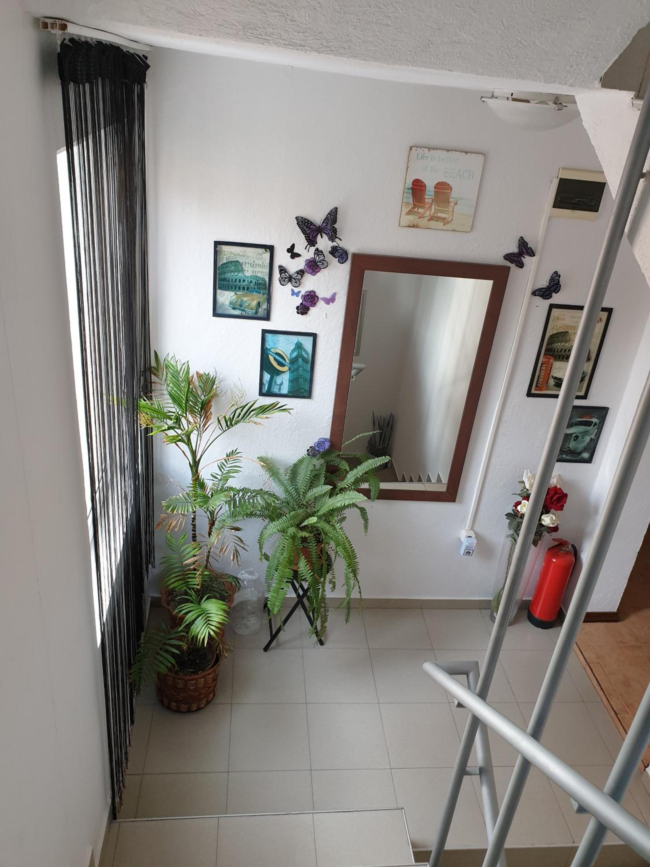 Guest House Taligarov