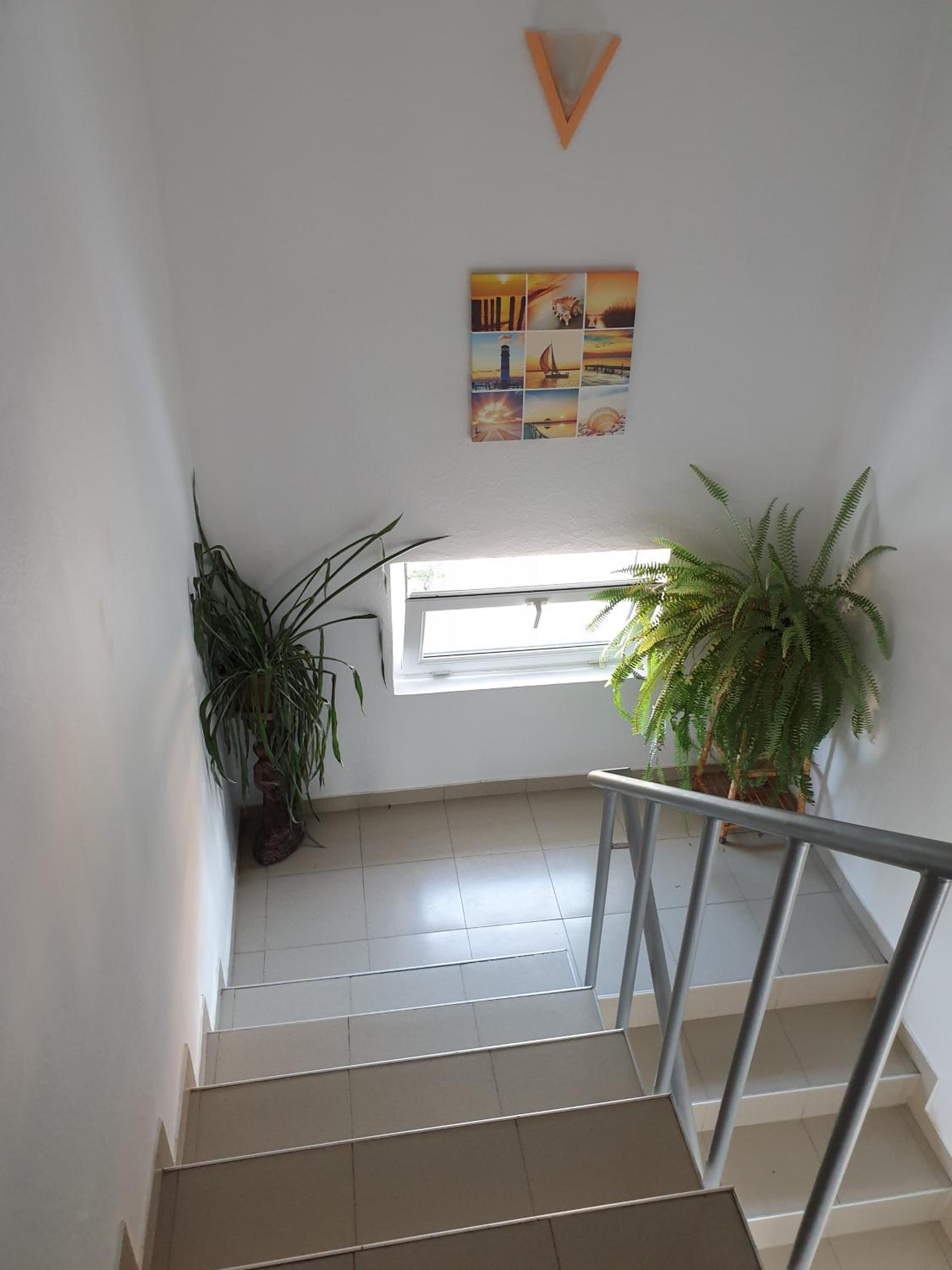 Guest House Taligarov