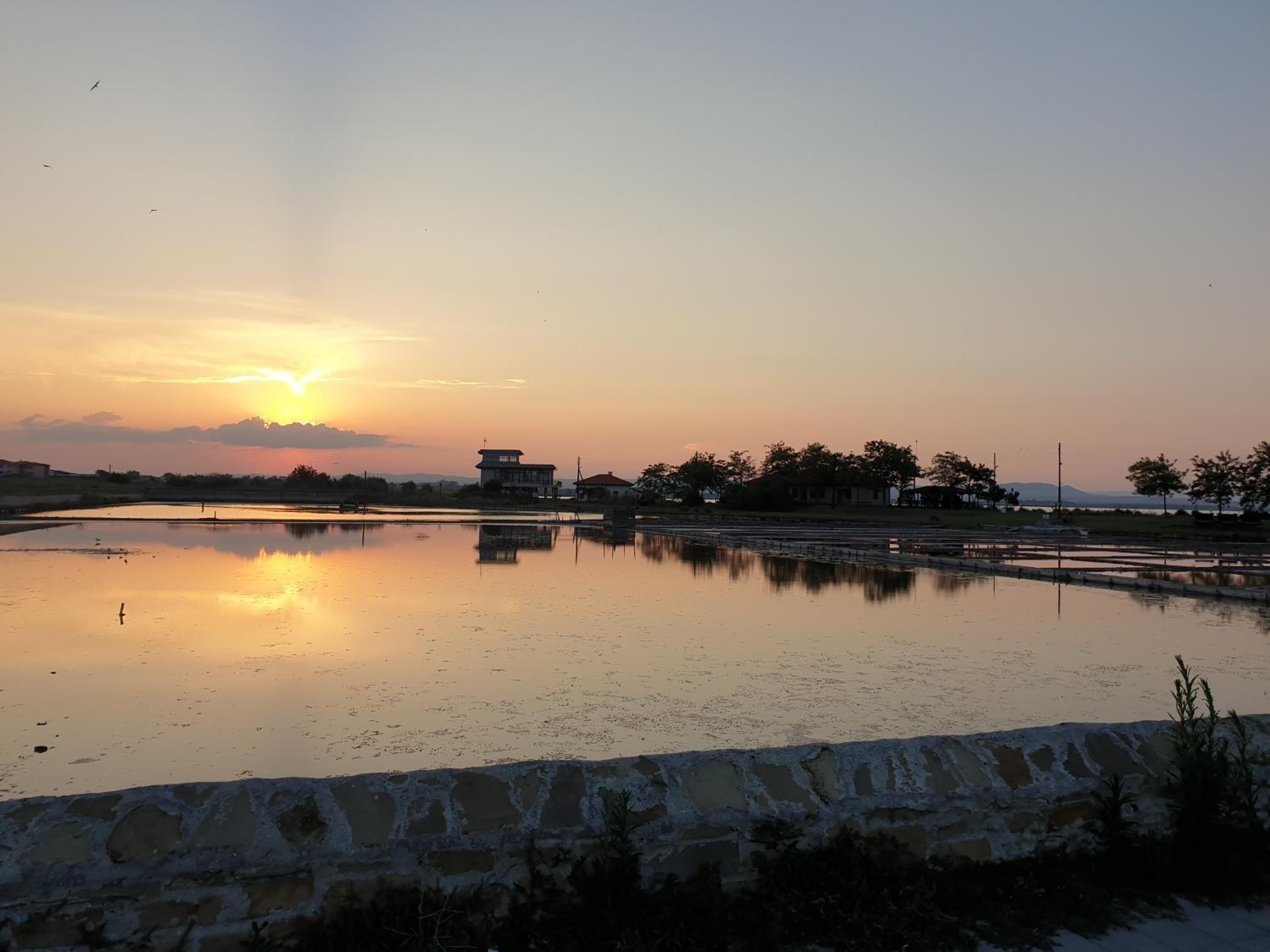 Guest House Taligarov