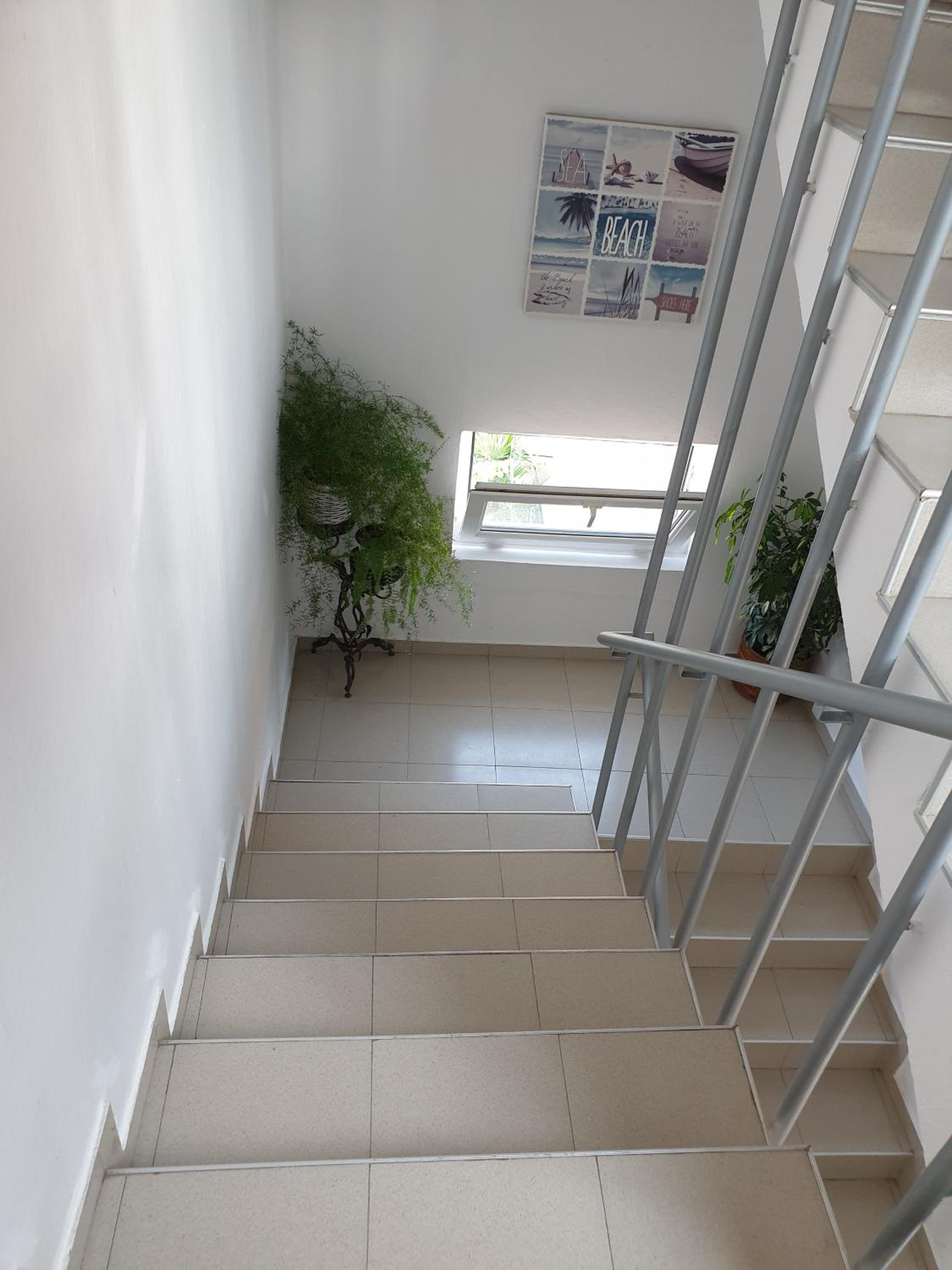 Guest House Taligarov