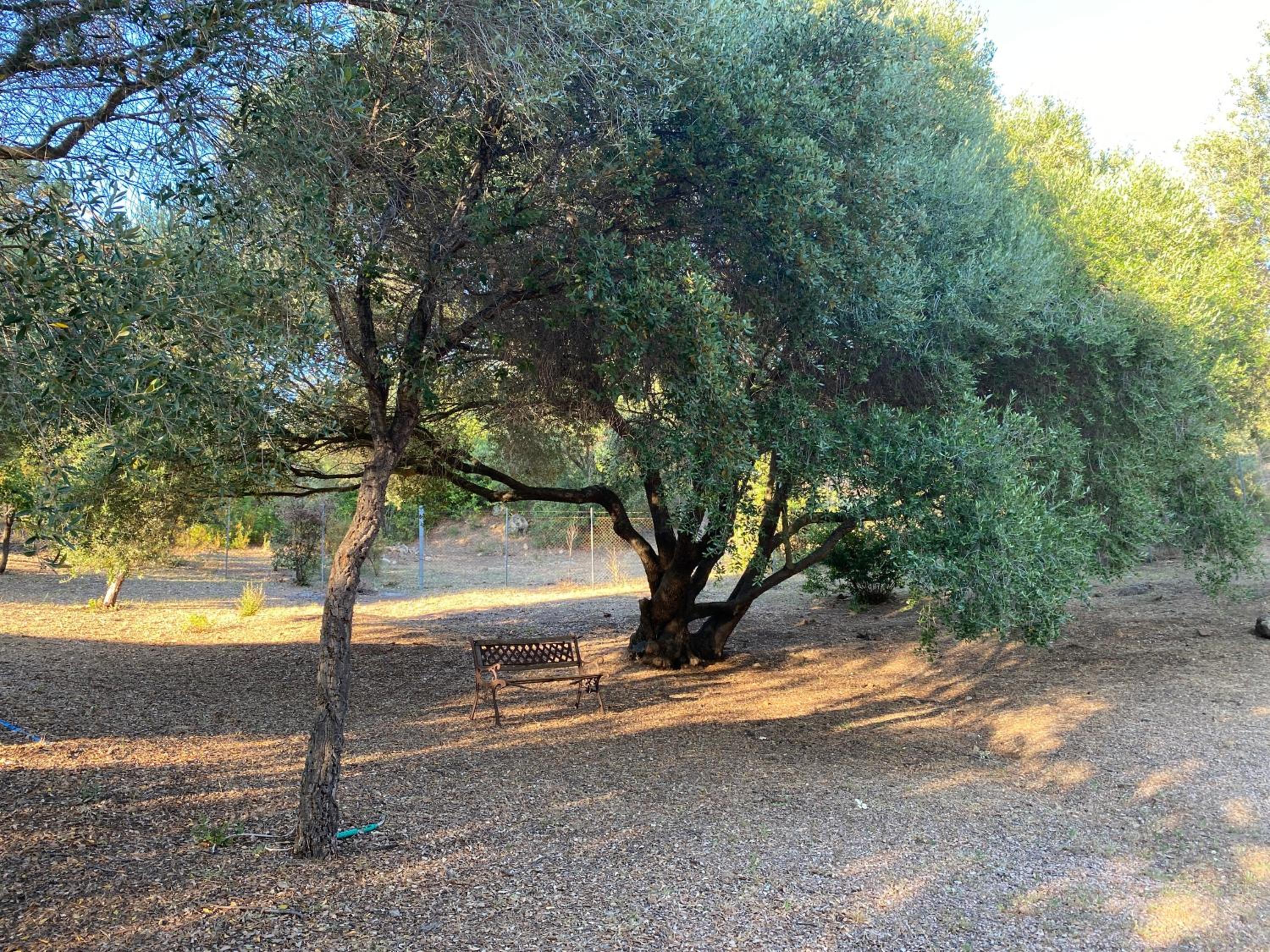 Photo 8