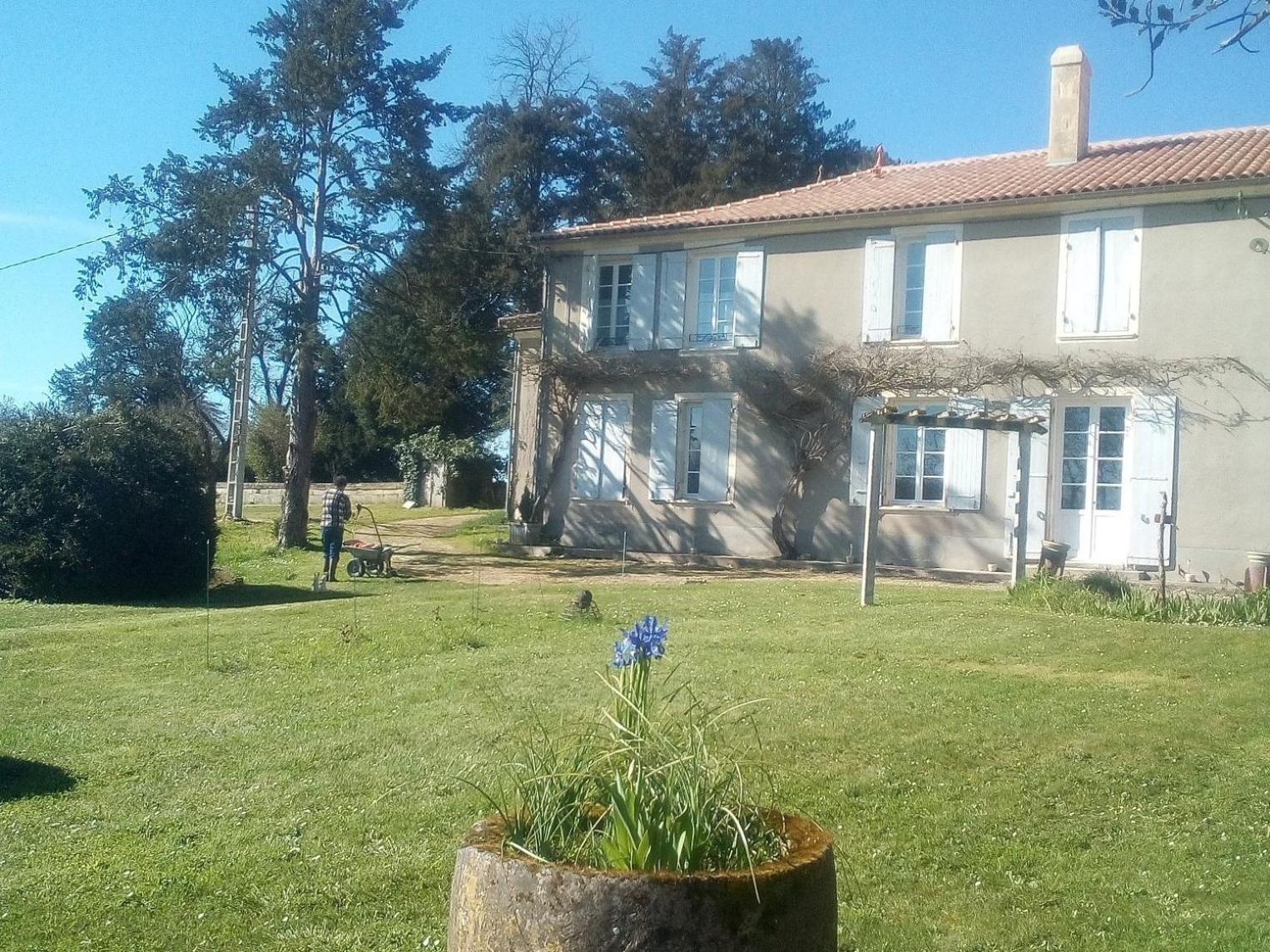 Photo 28