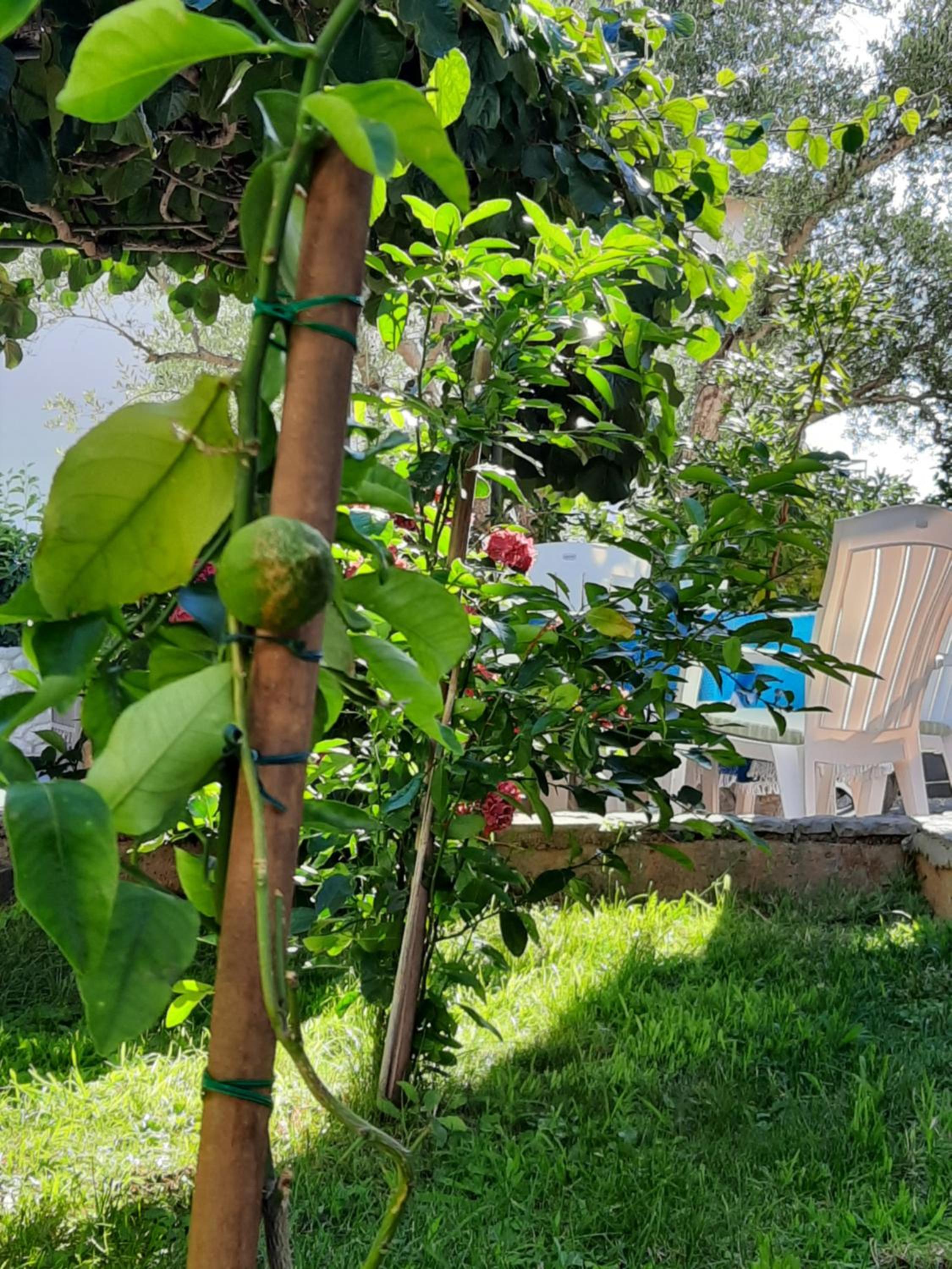 Photo 27