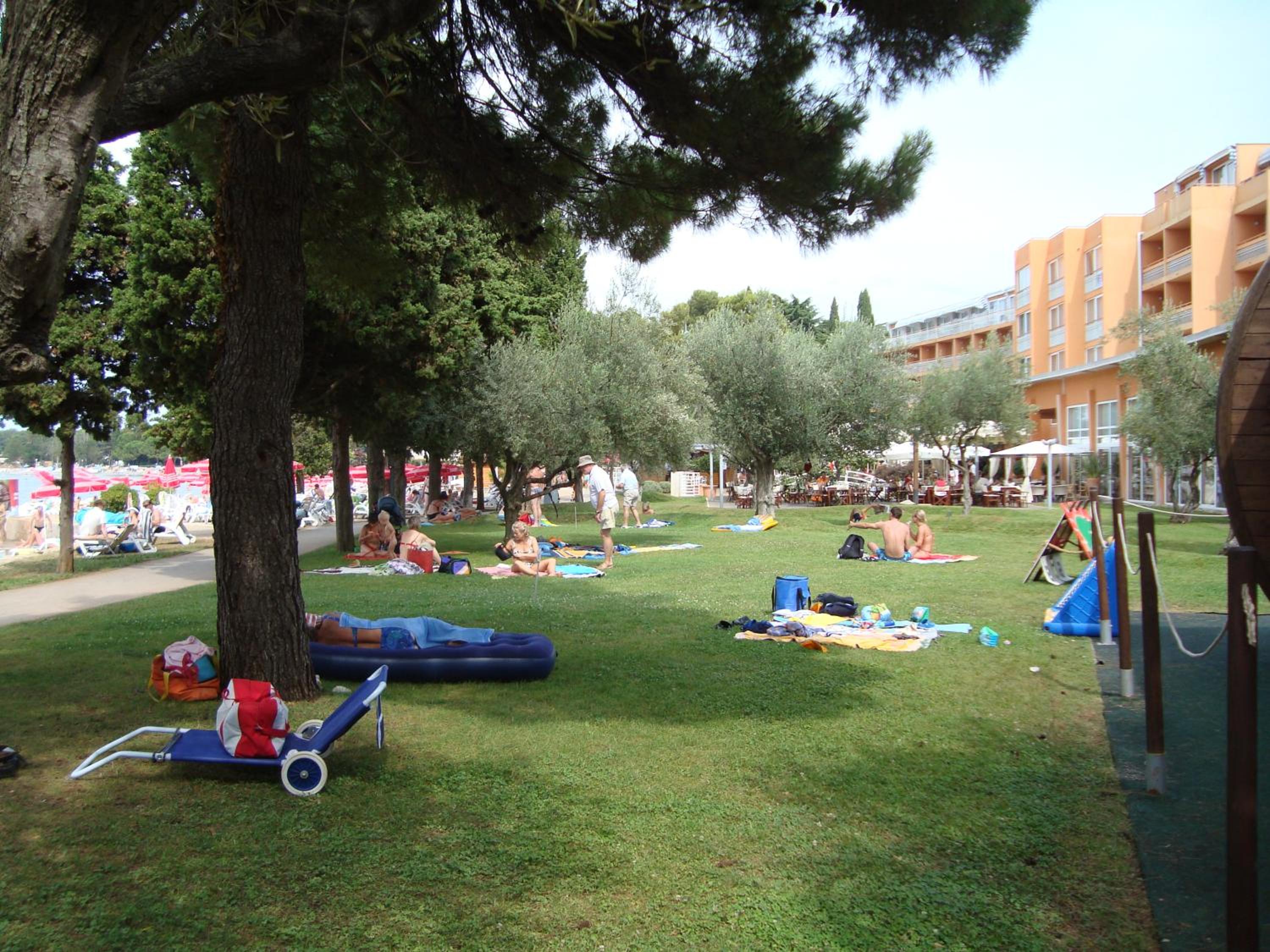 Photo 7