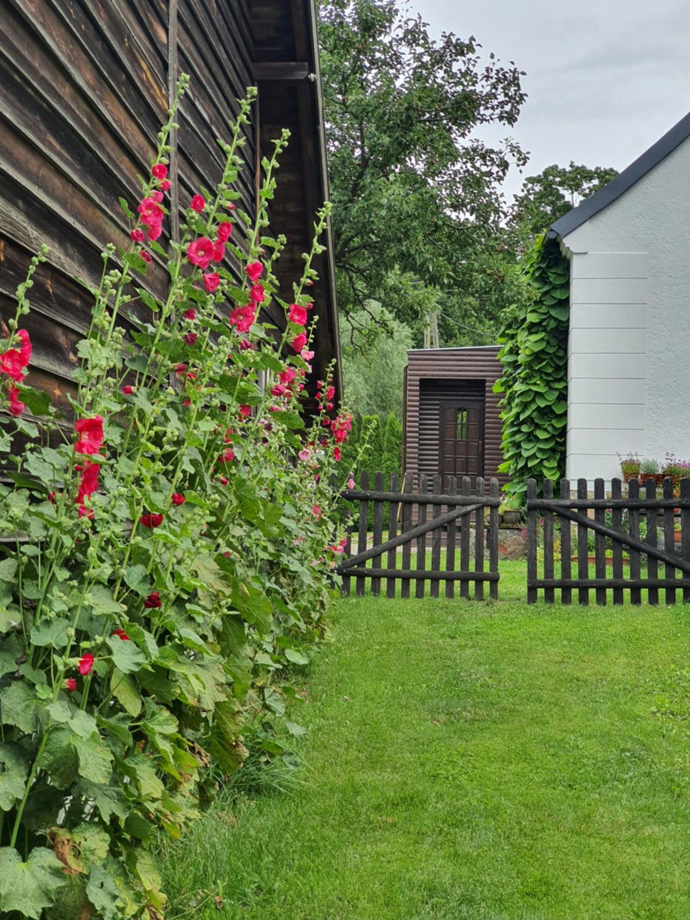 Photo 36