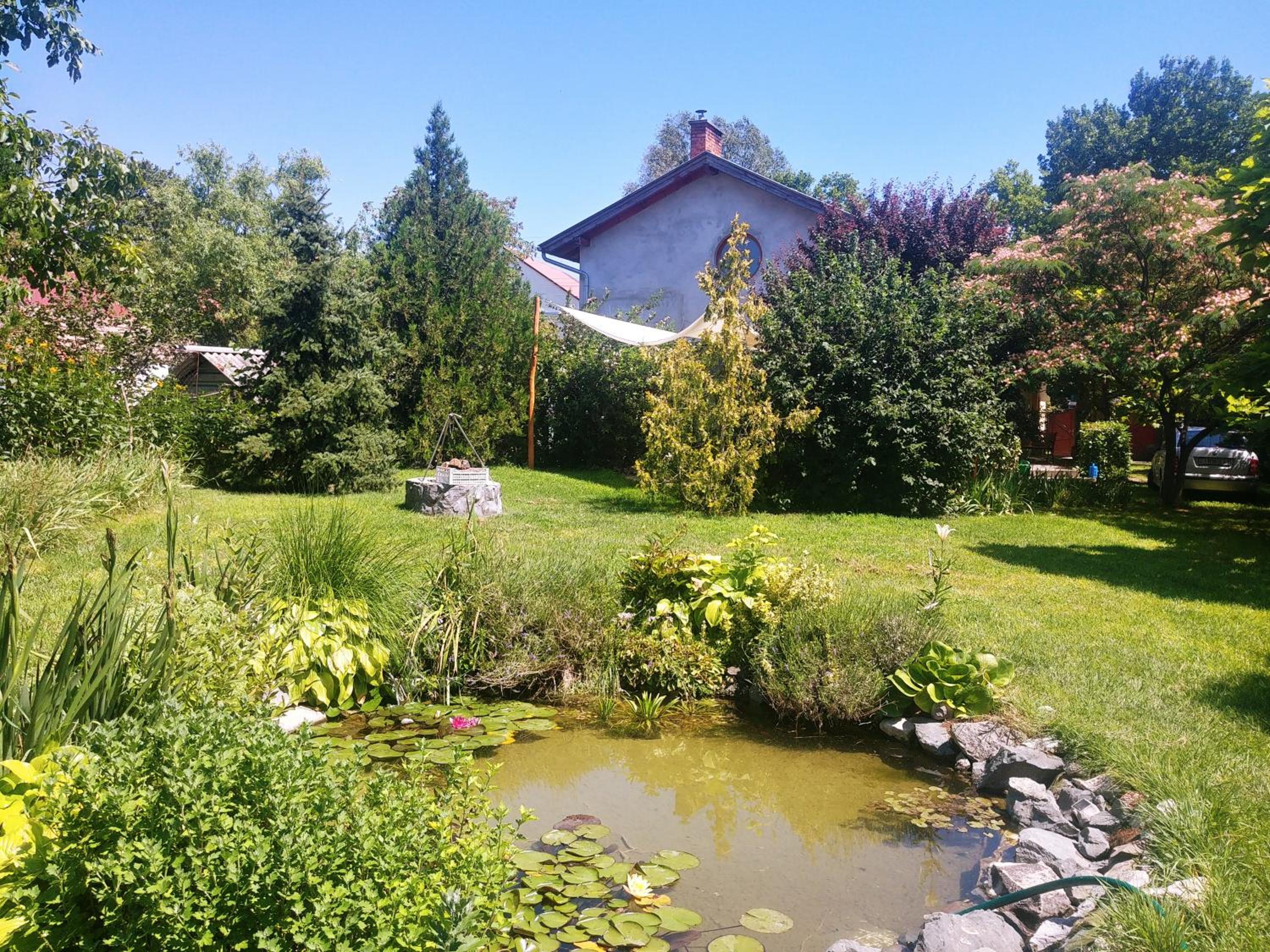 Photo 27
