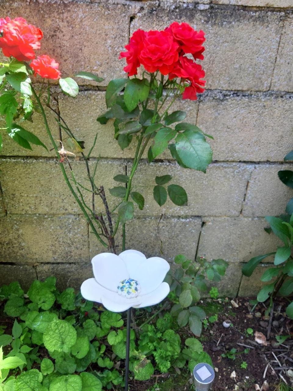 Photo 26