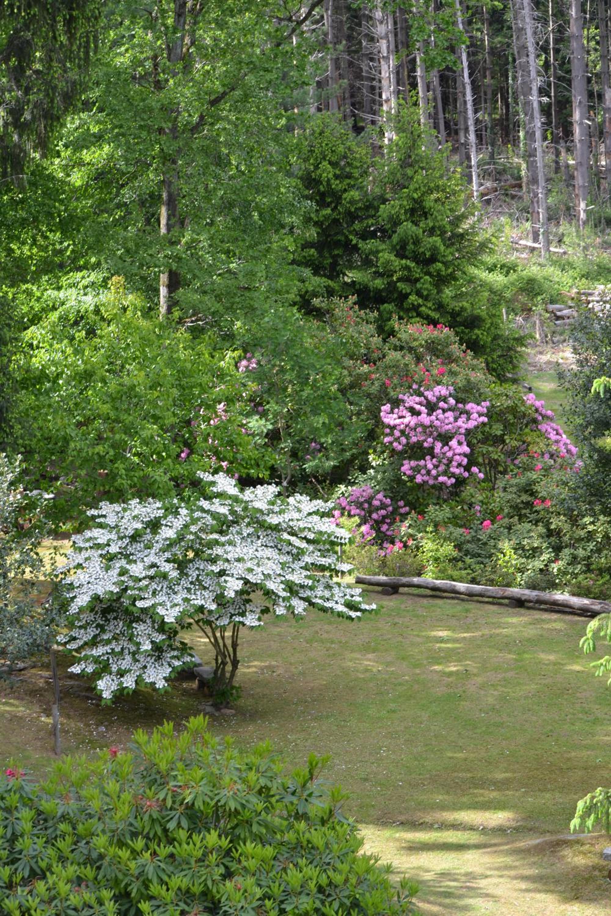 Photo 47