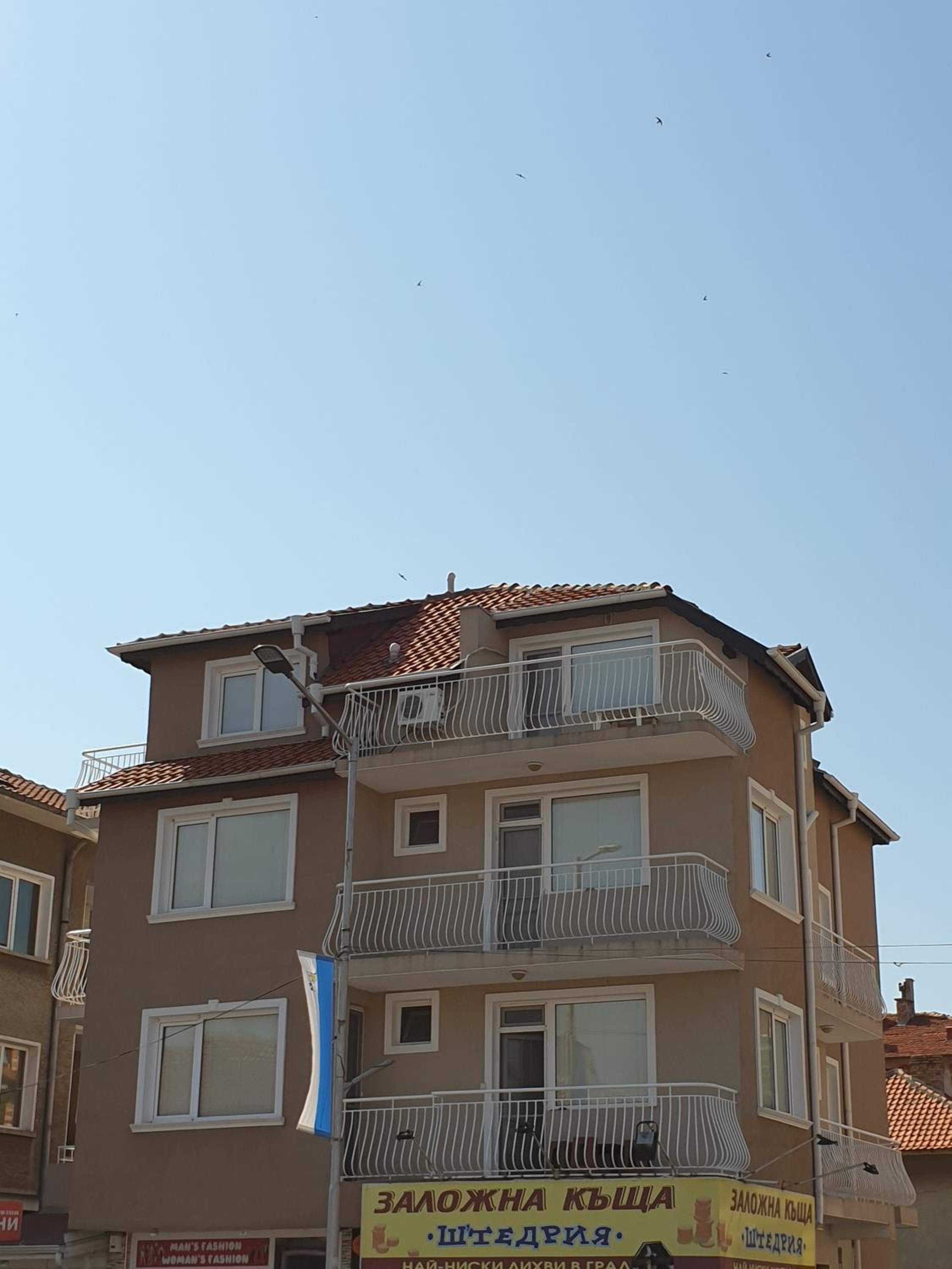 Guest House Taligarov