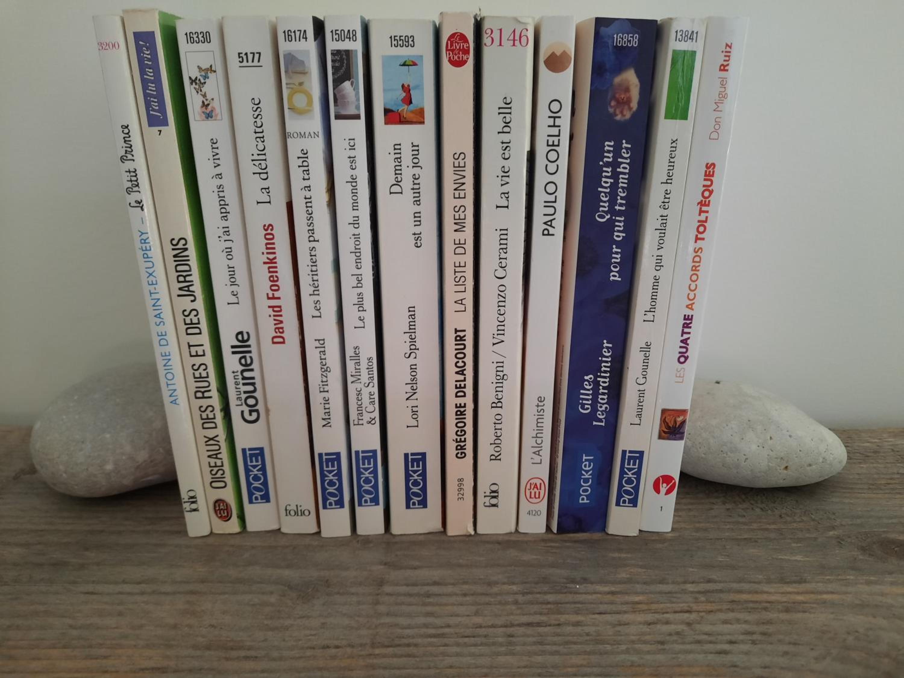 Photo 19