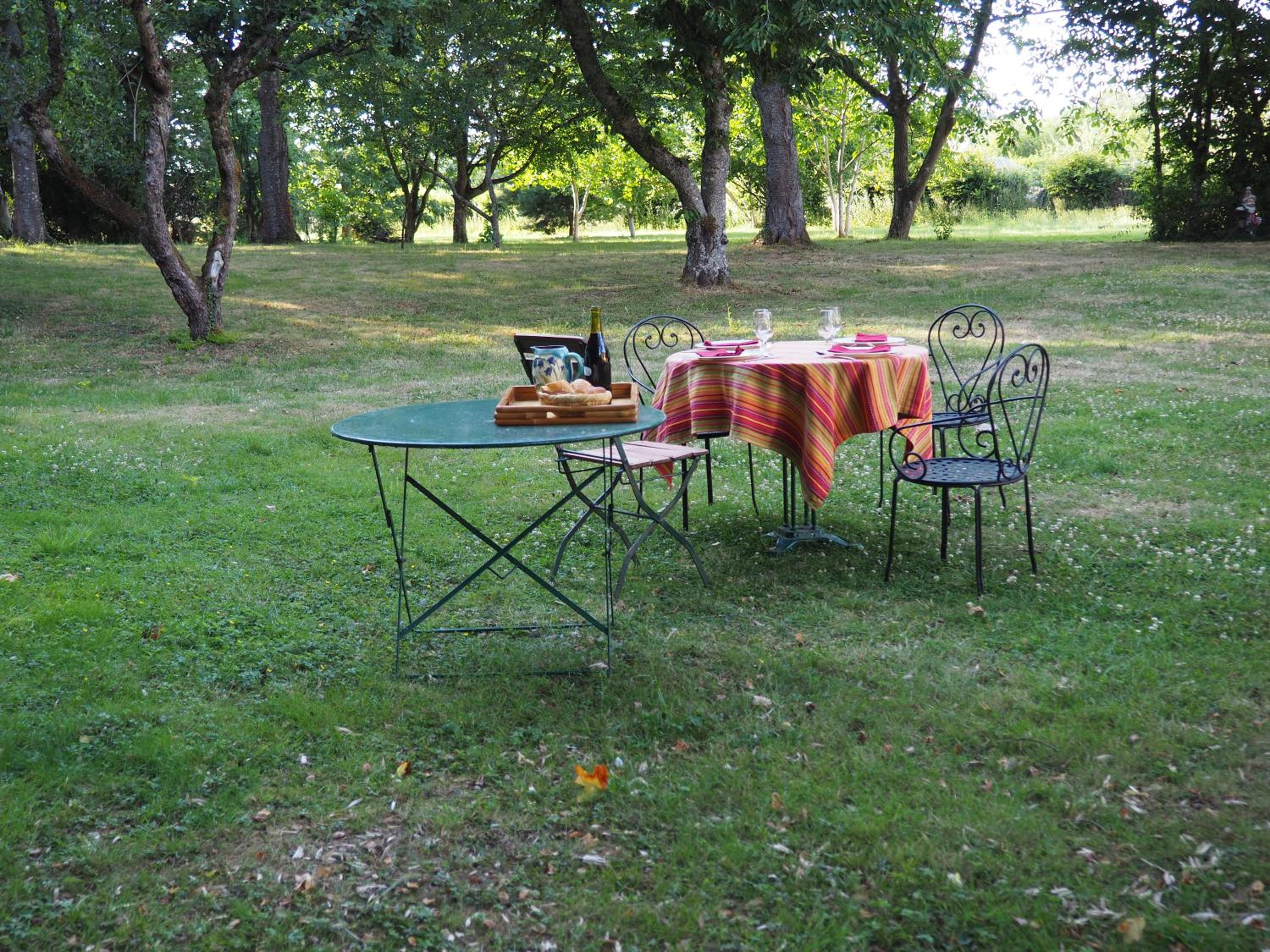 Photo 7