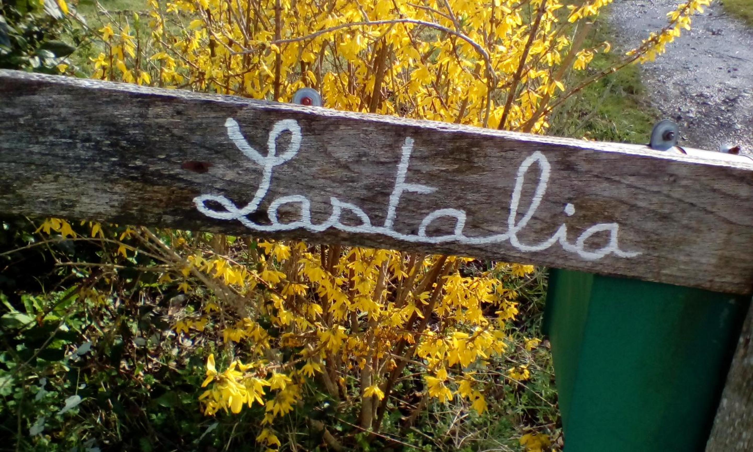 Lastalia view 5
