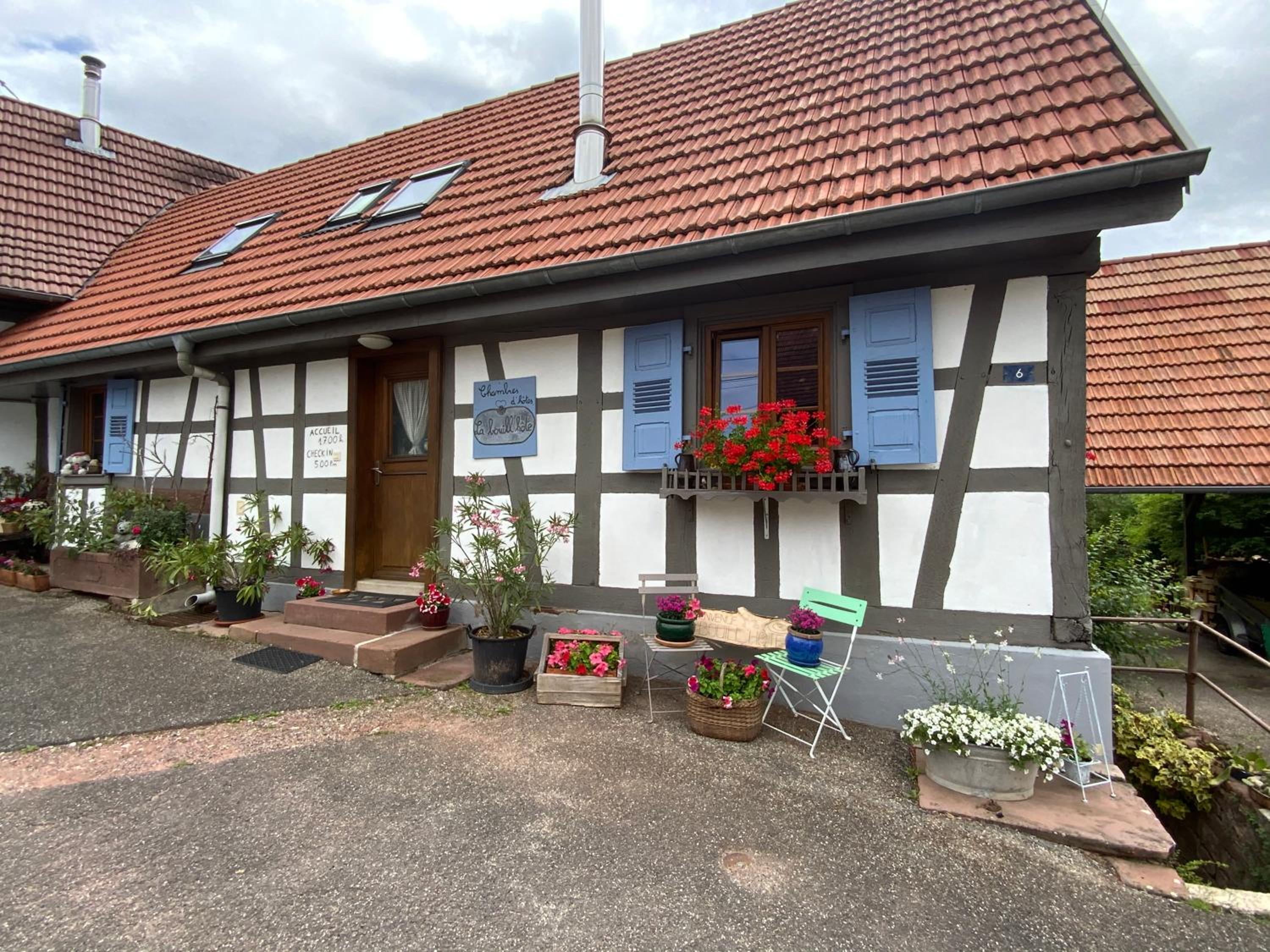 Photo 38