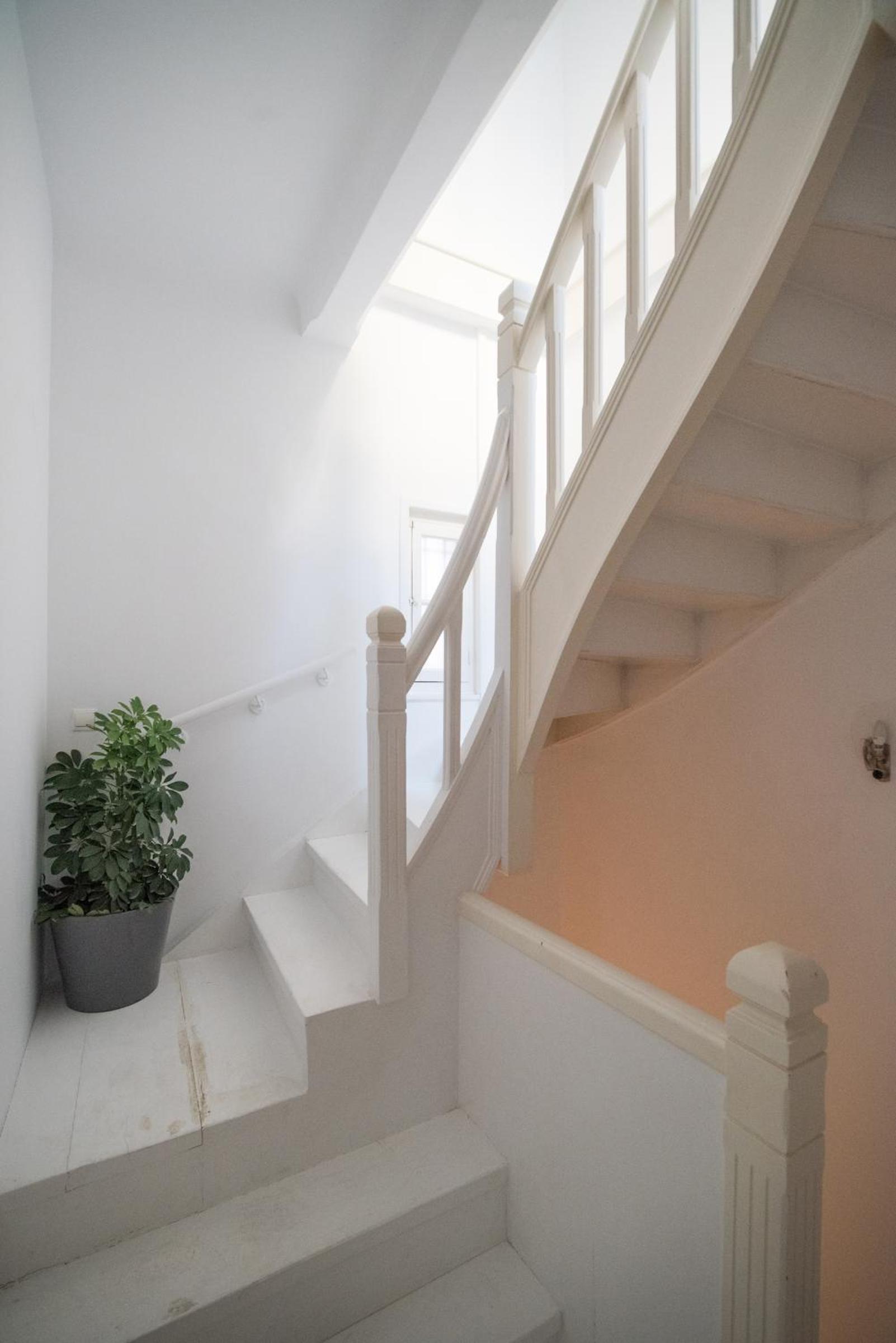 Apollonas Luxurious Apartments photo 4