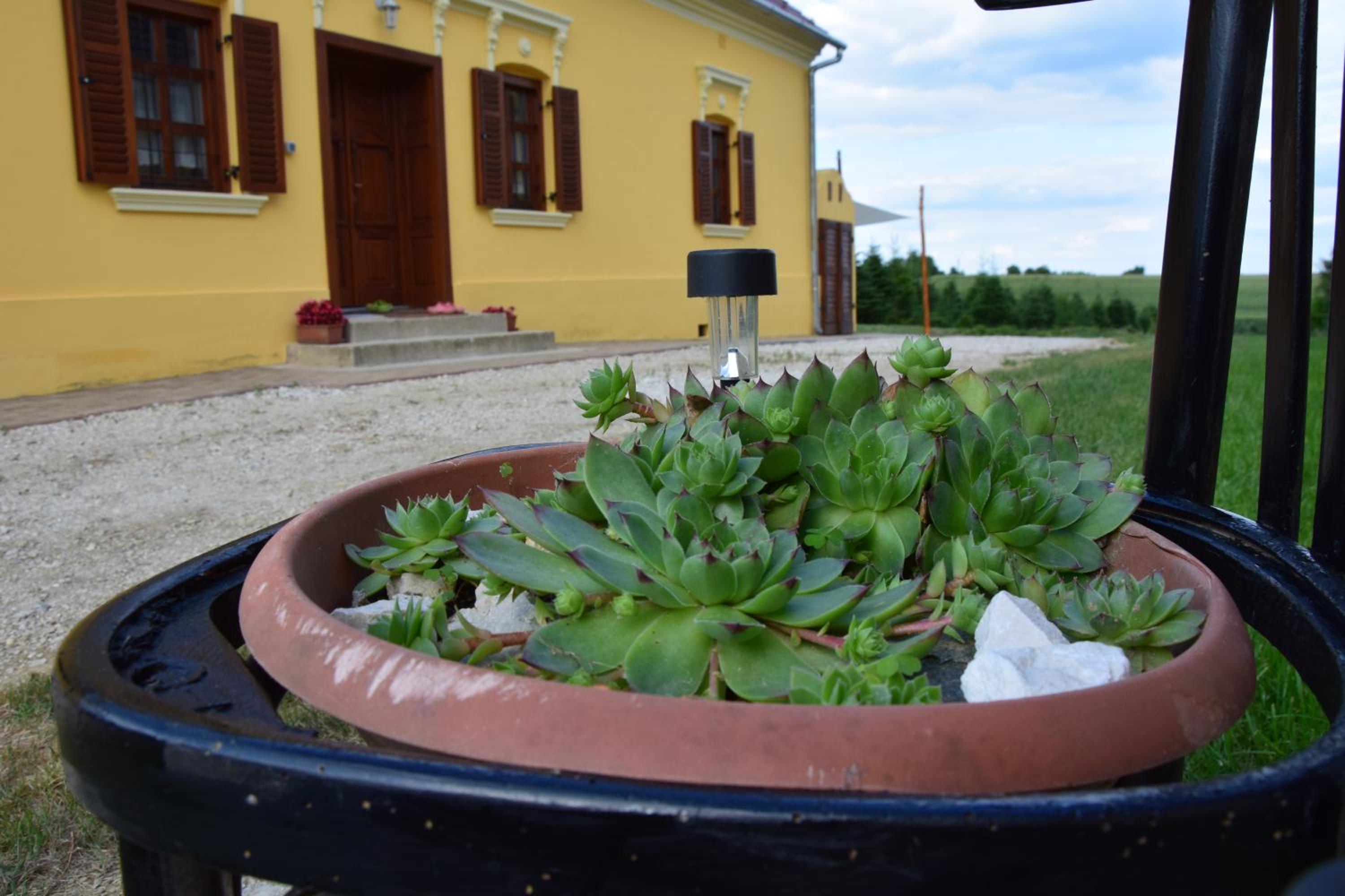 Photo 33