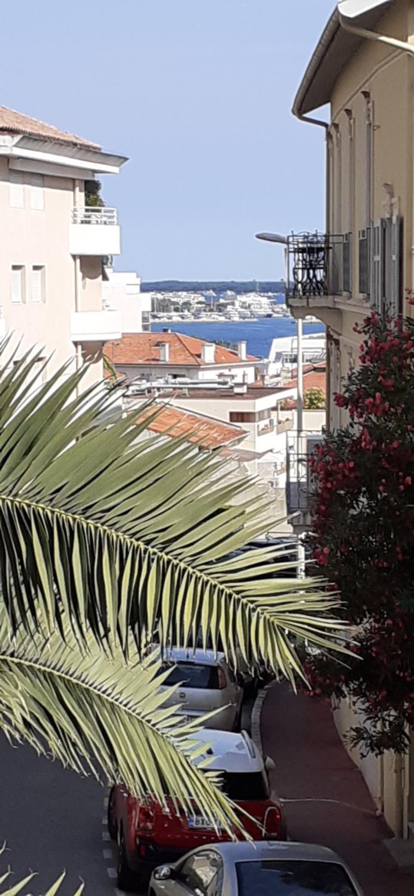 Appartement raffiné Cannes photo 5