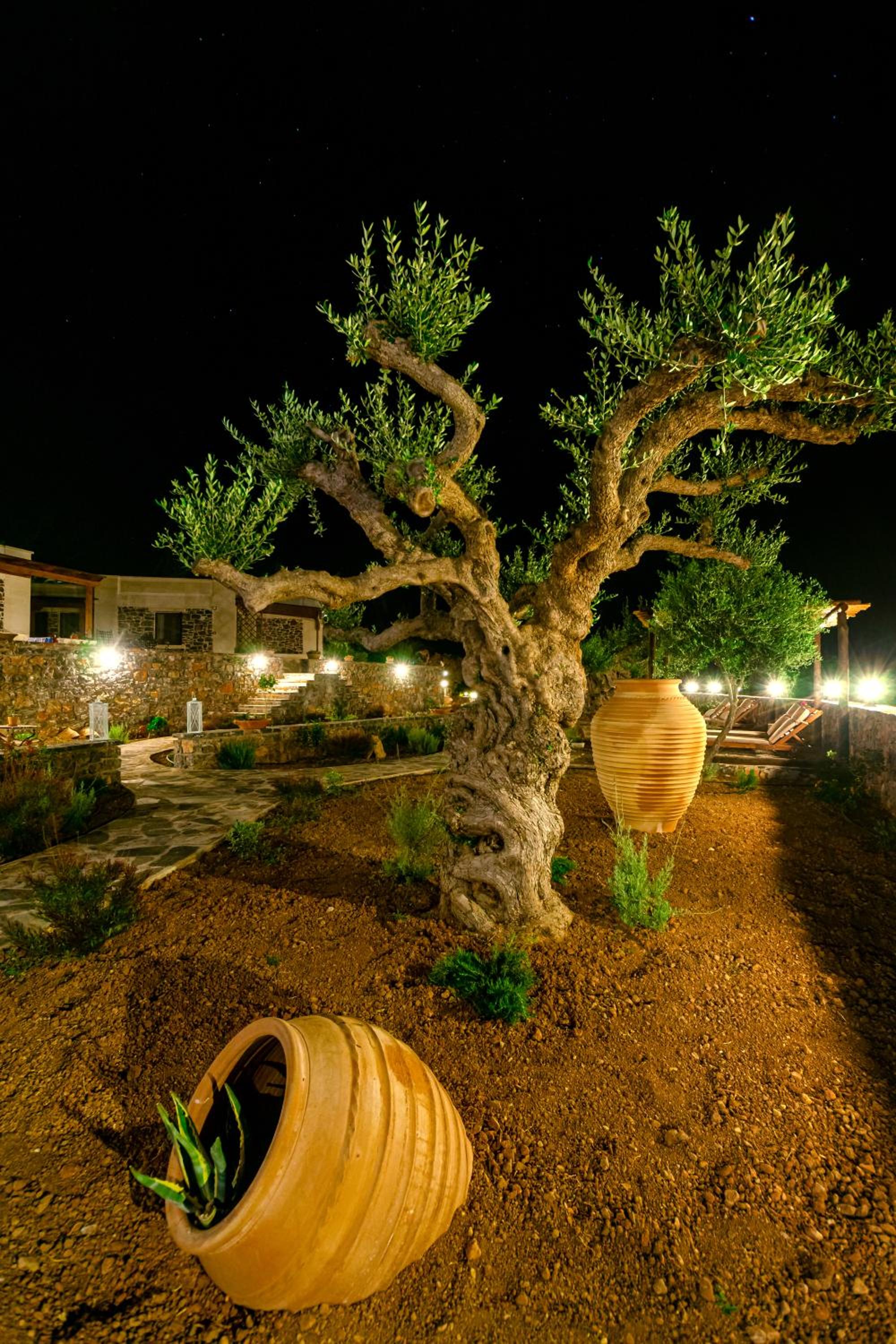 Yiannis Retreat