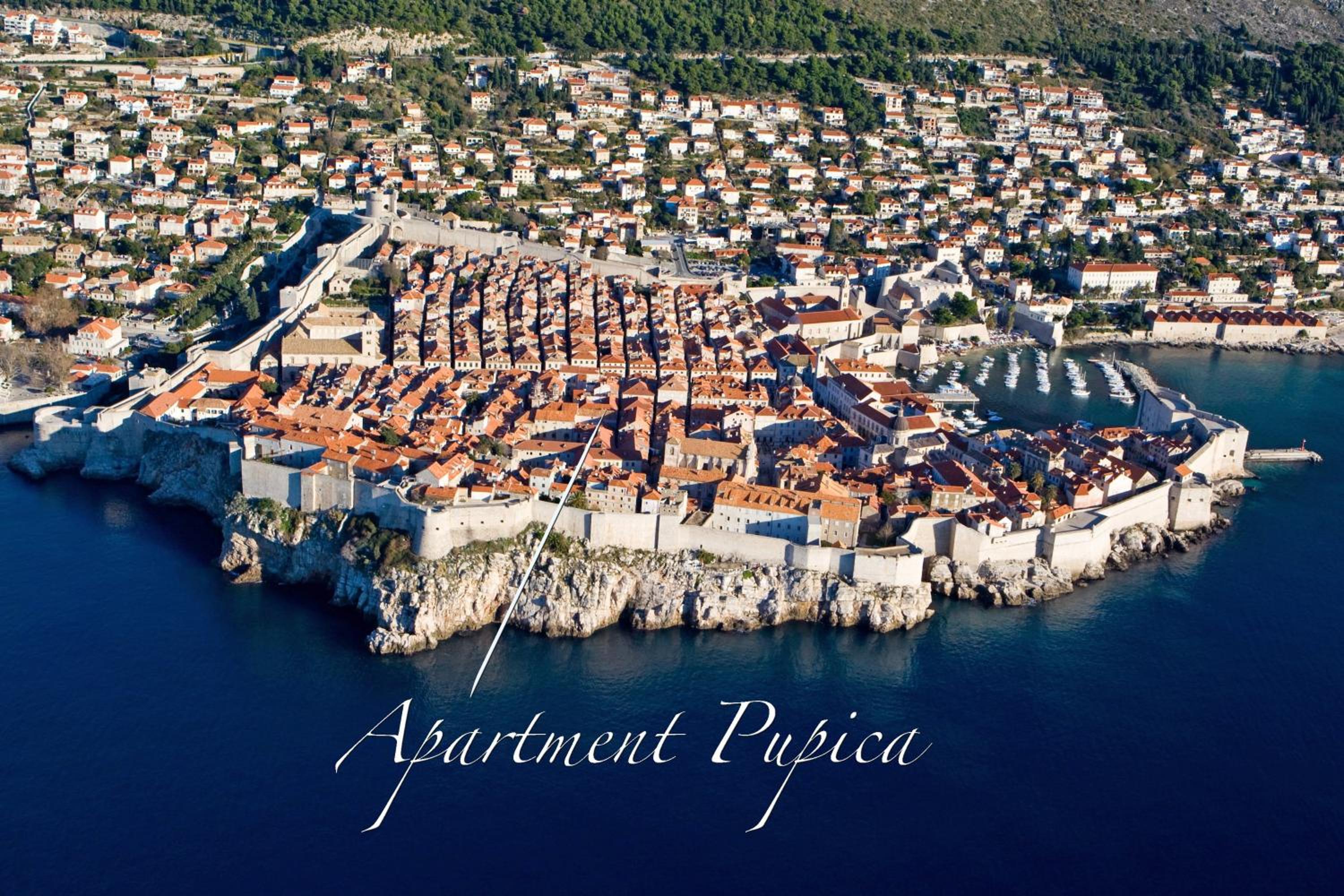 Apartment Pupica