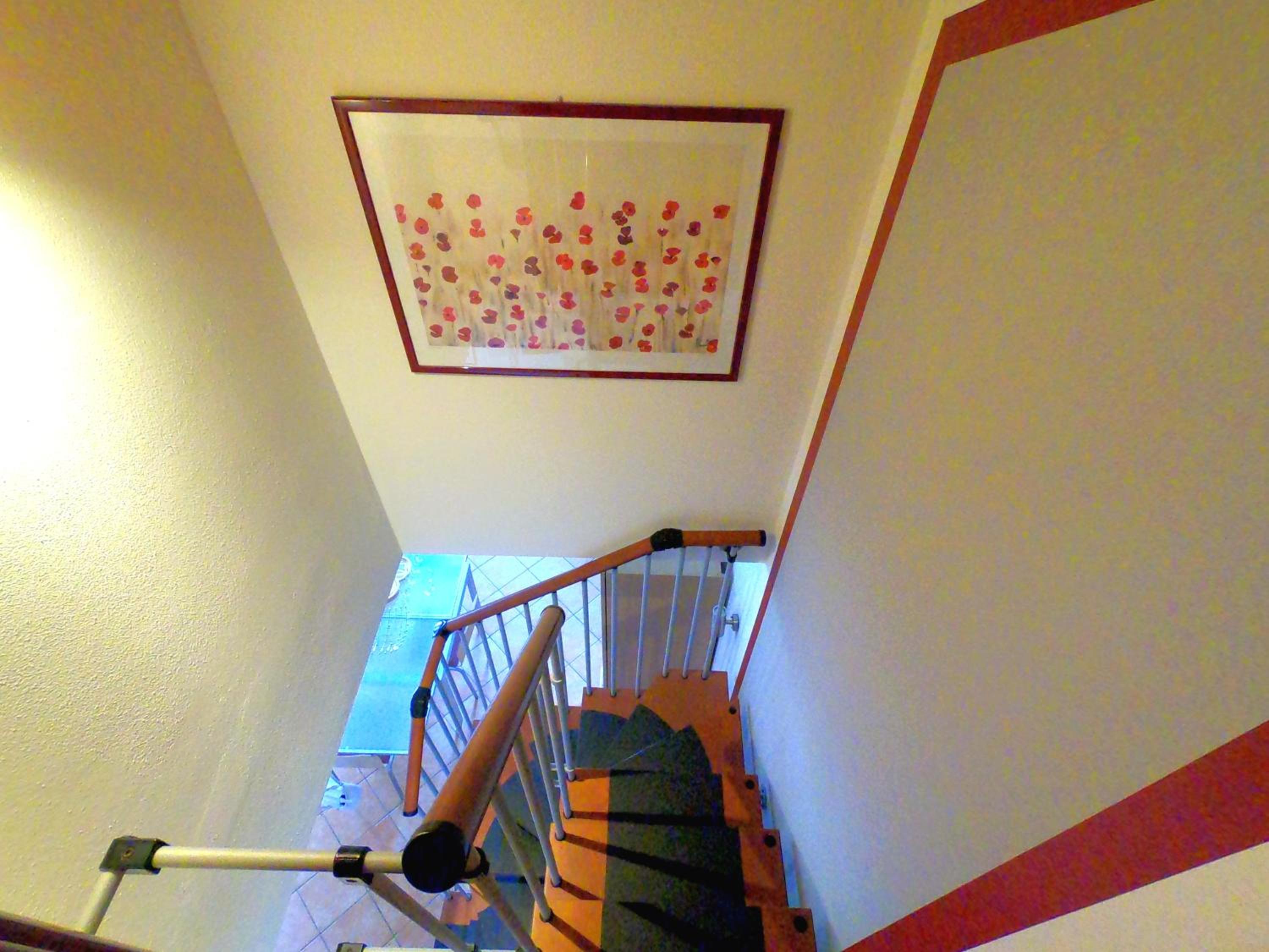 Evelyn POOL apartment -only family- photo 5