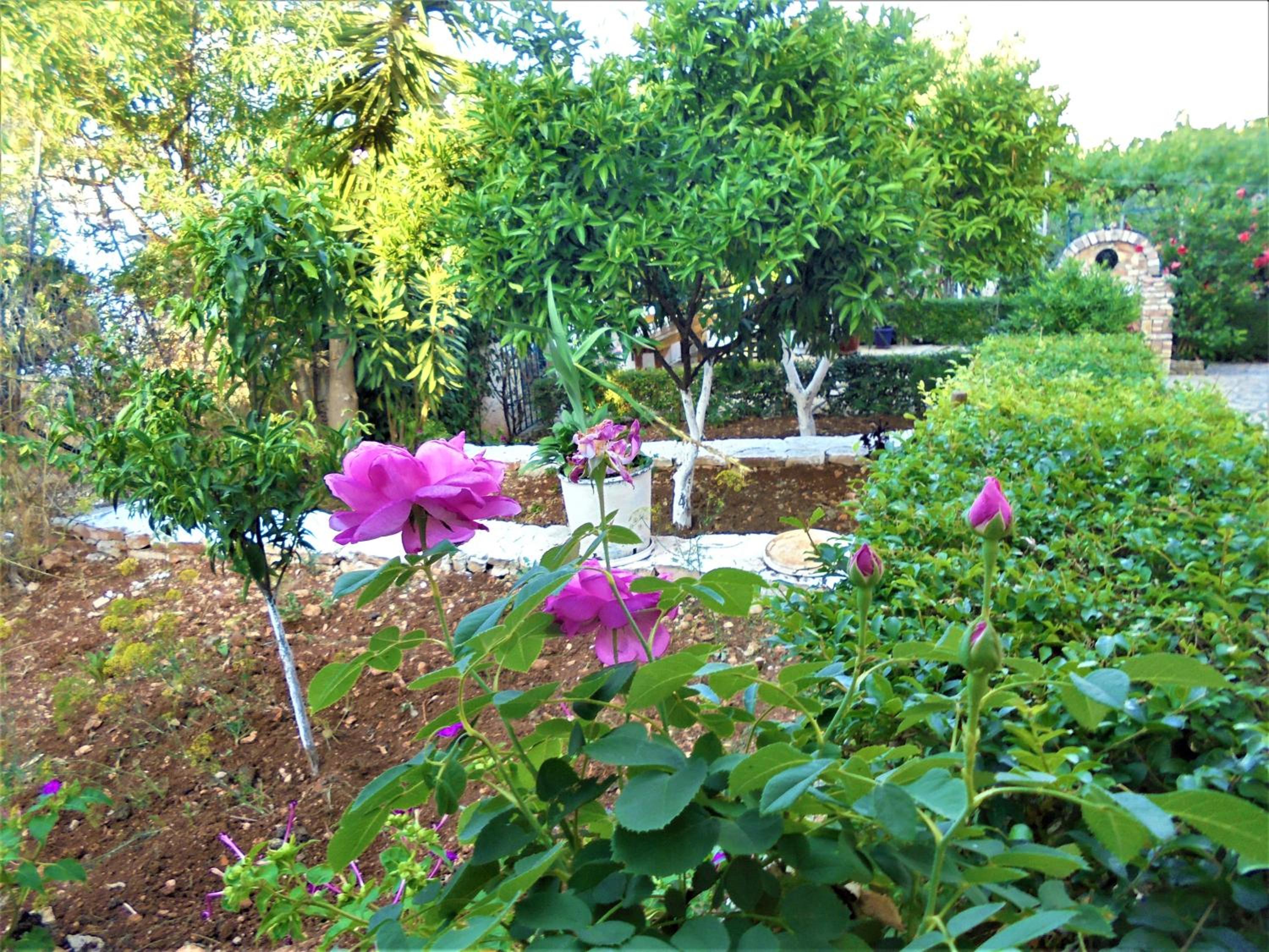 Vila Ori