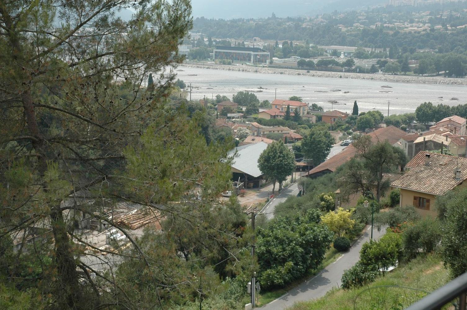 La vigne sous les pins