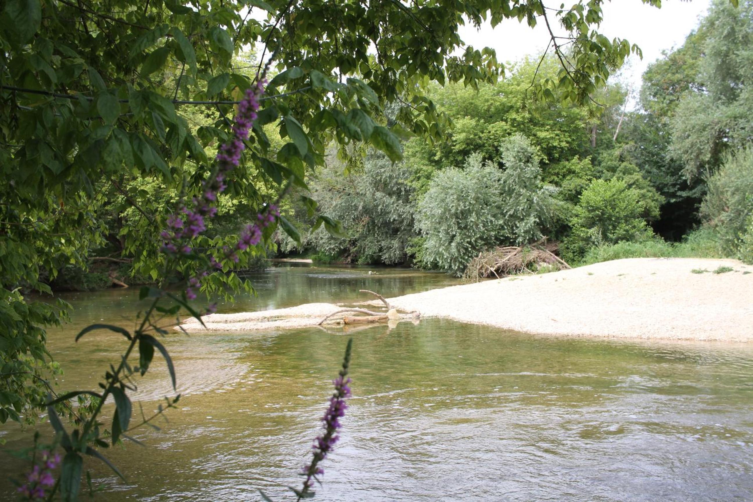 Photo 29