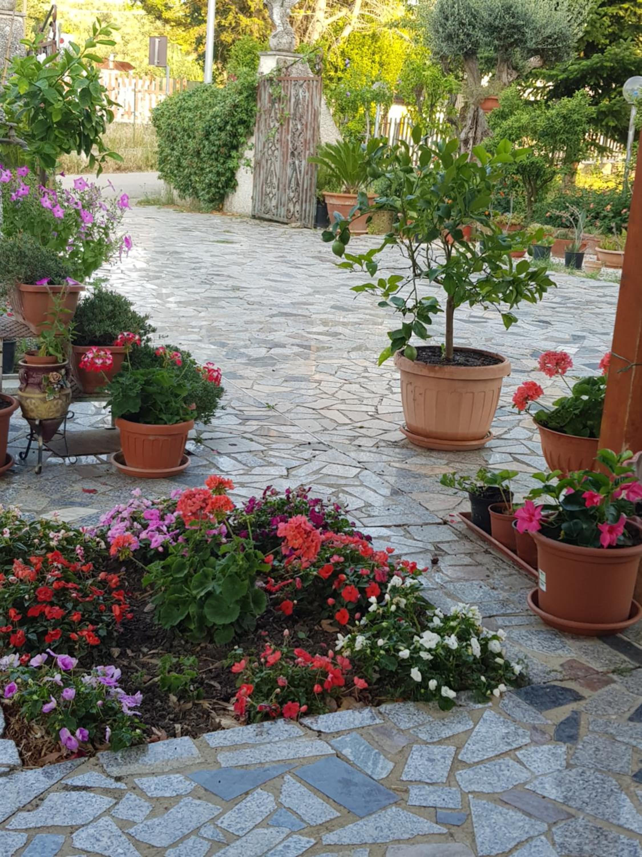 La tenuta di panfilo view 5