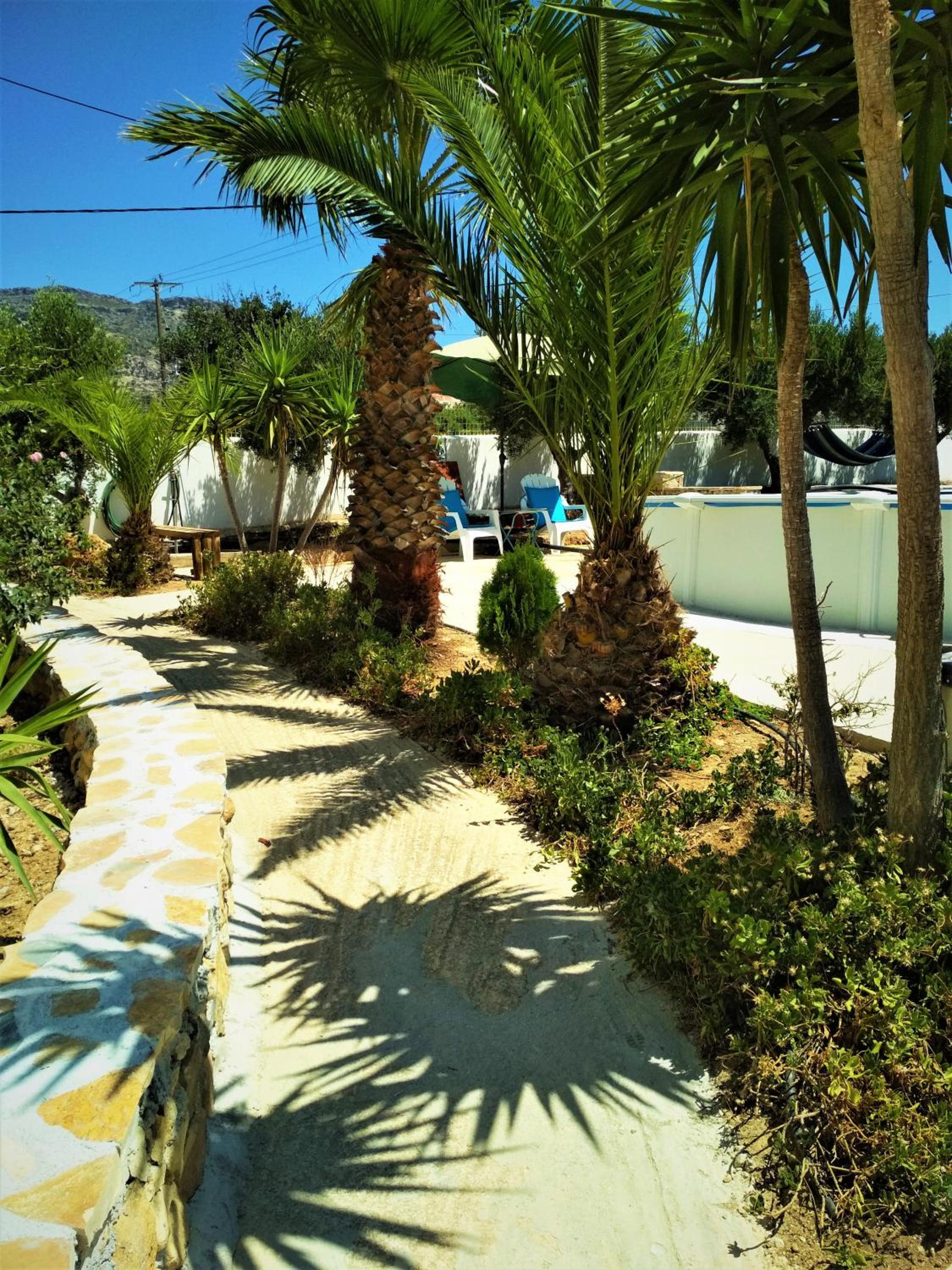 Photo 25