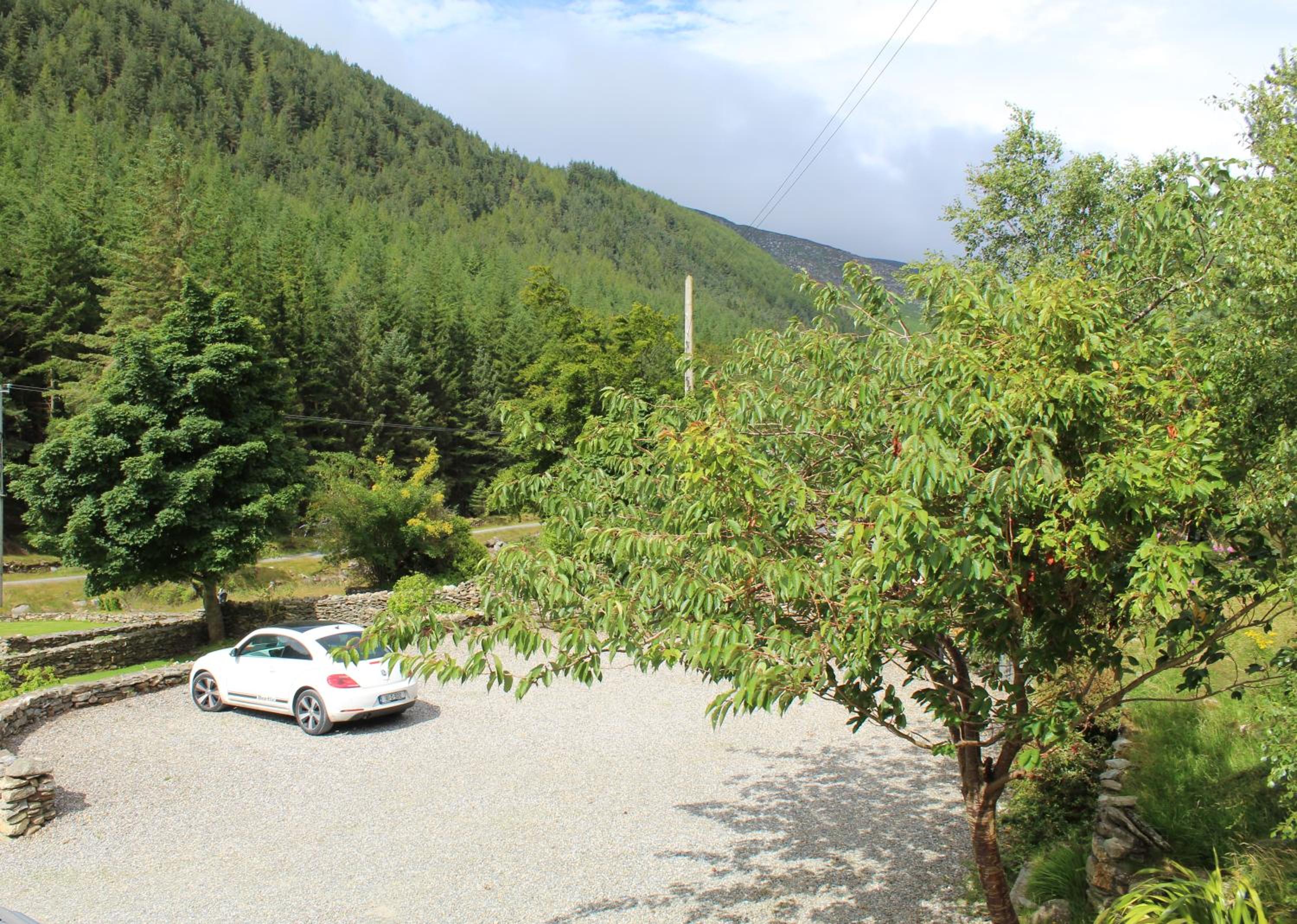 Photo 41