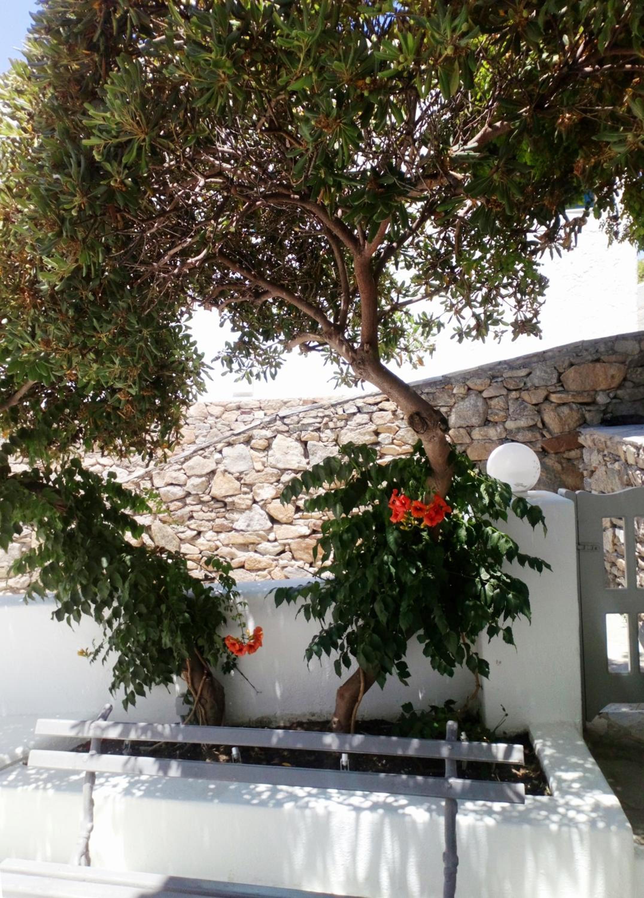 Island Mykonos Suites