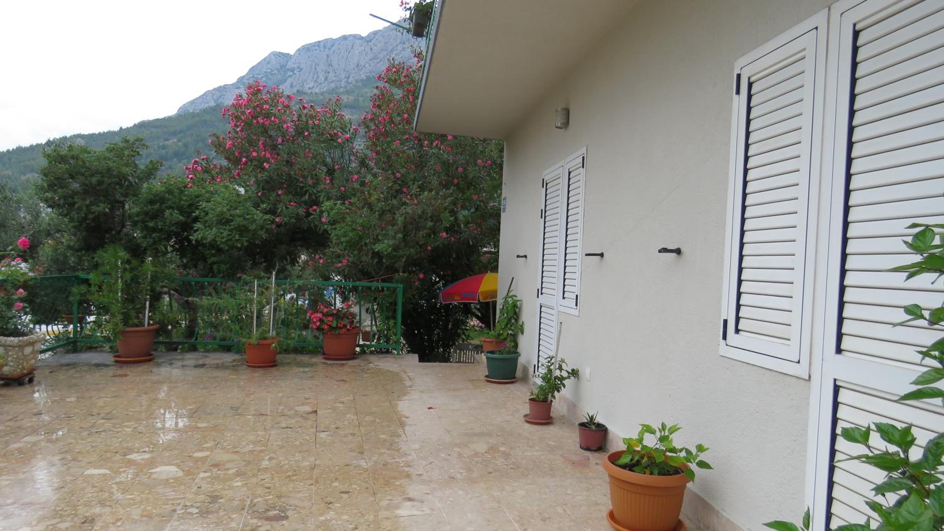 Apartments Caleta view 4