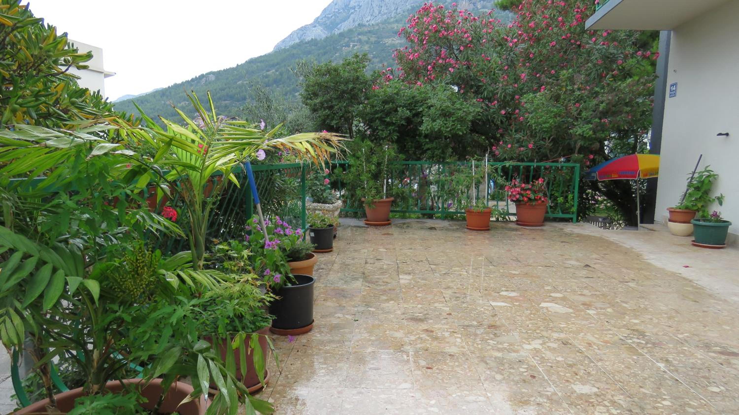 Apartments Caleta view 3