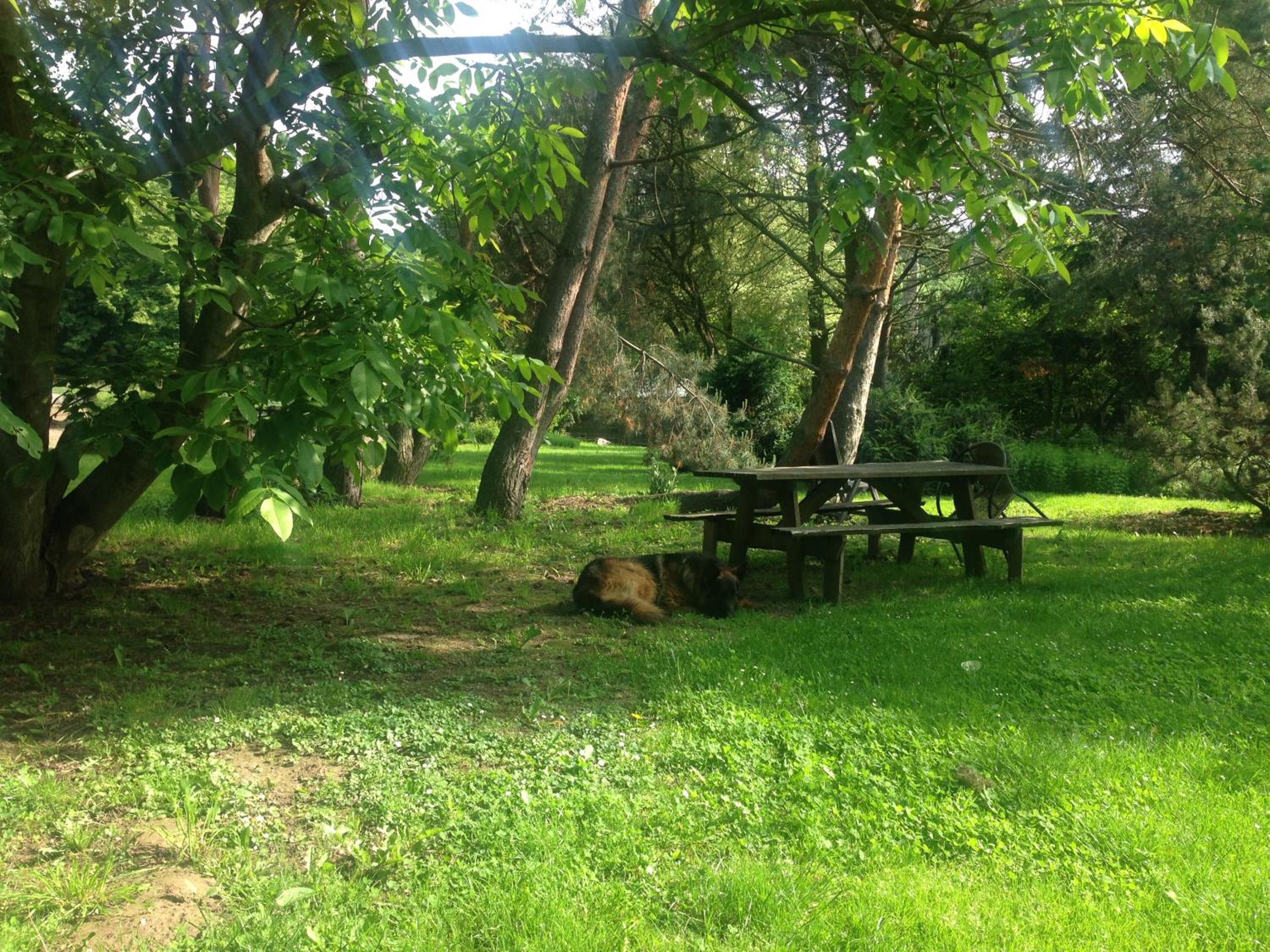 Photo 8