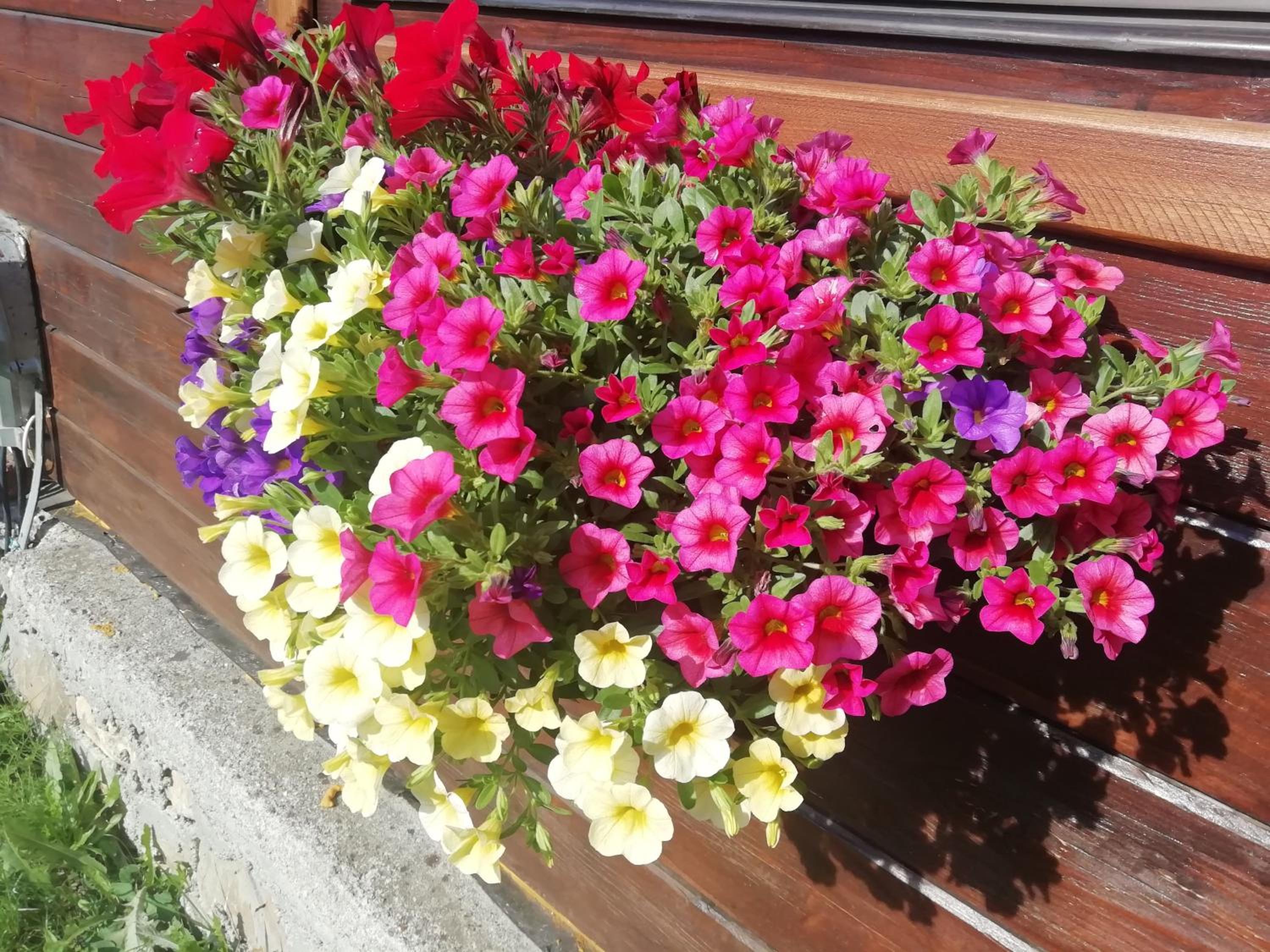 Photo 47