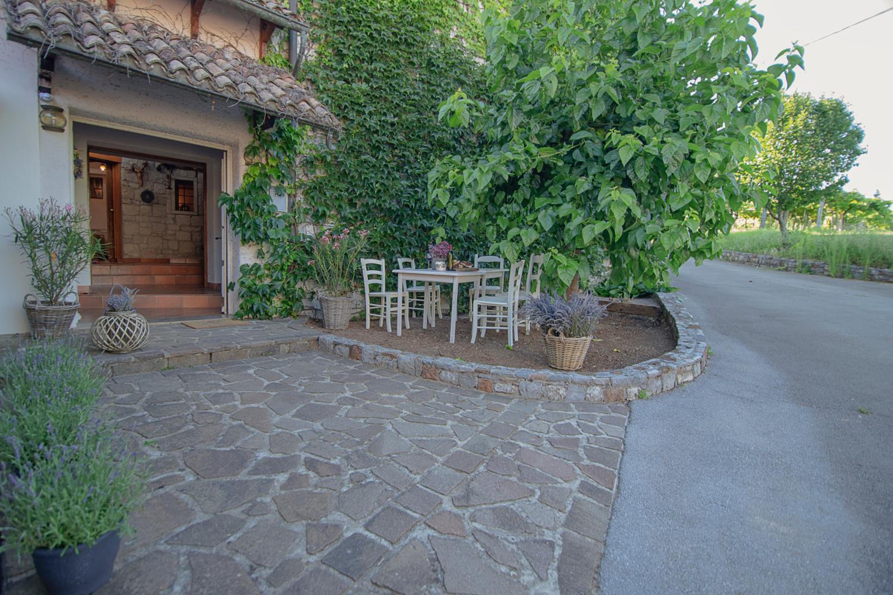 Apartment Ana - Karst Cycling Paradise