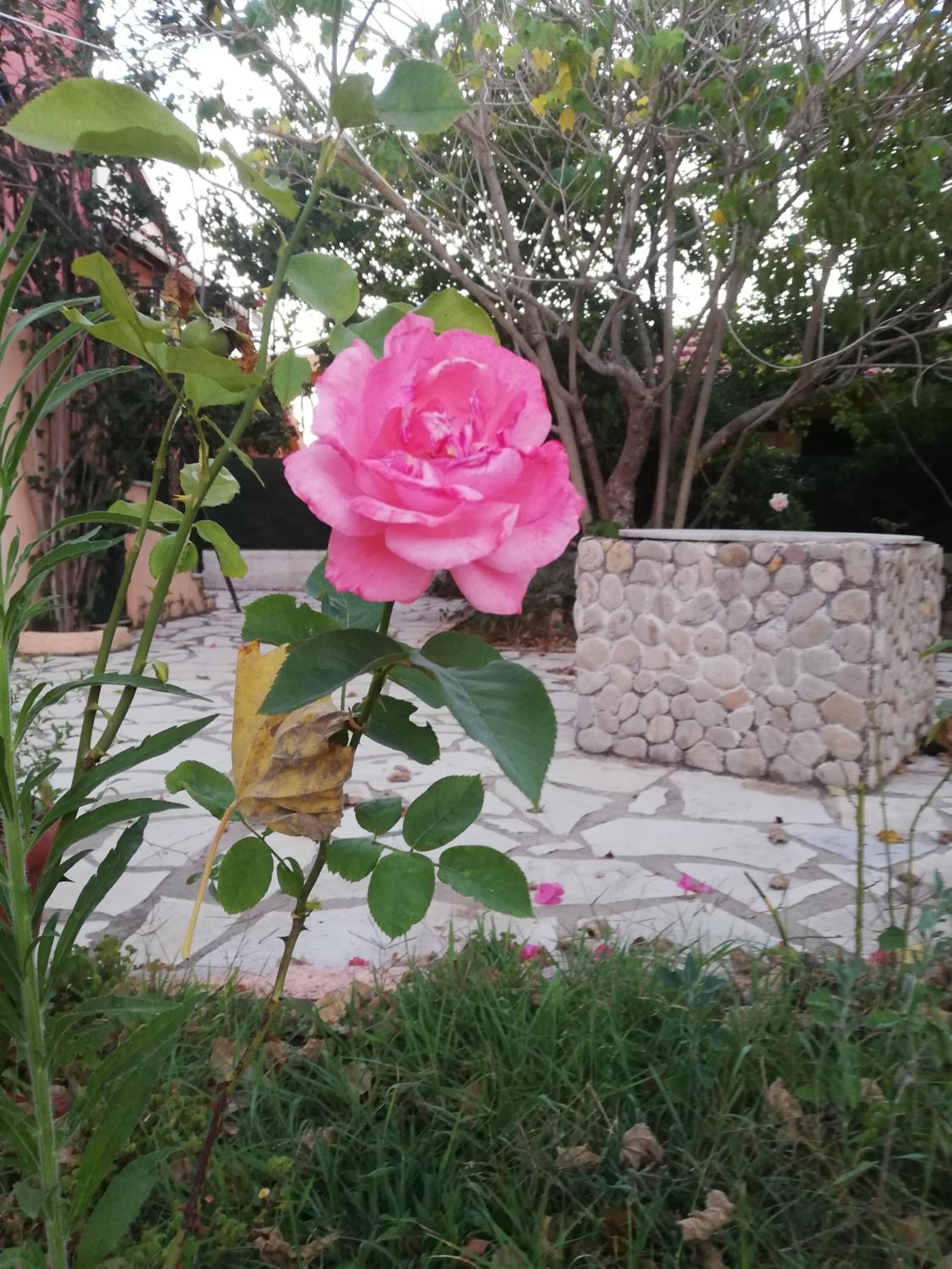 Anestis Studios en Agios Georgios