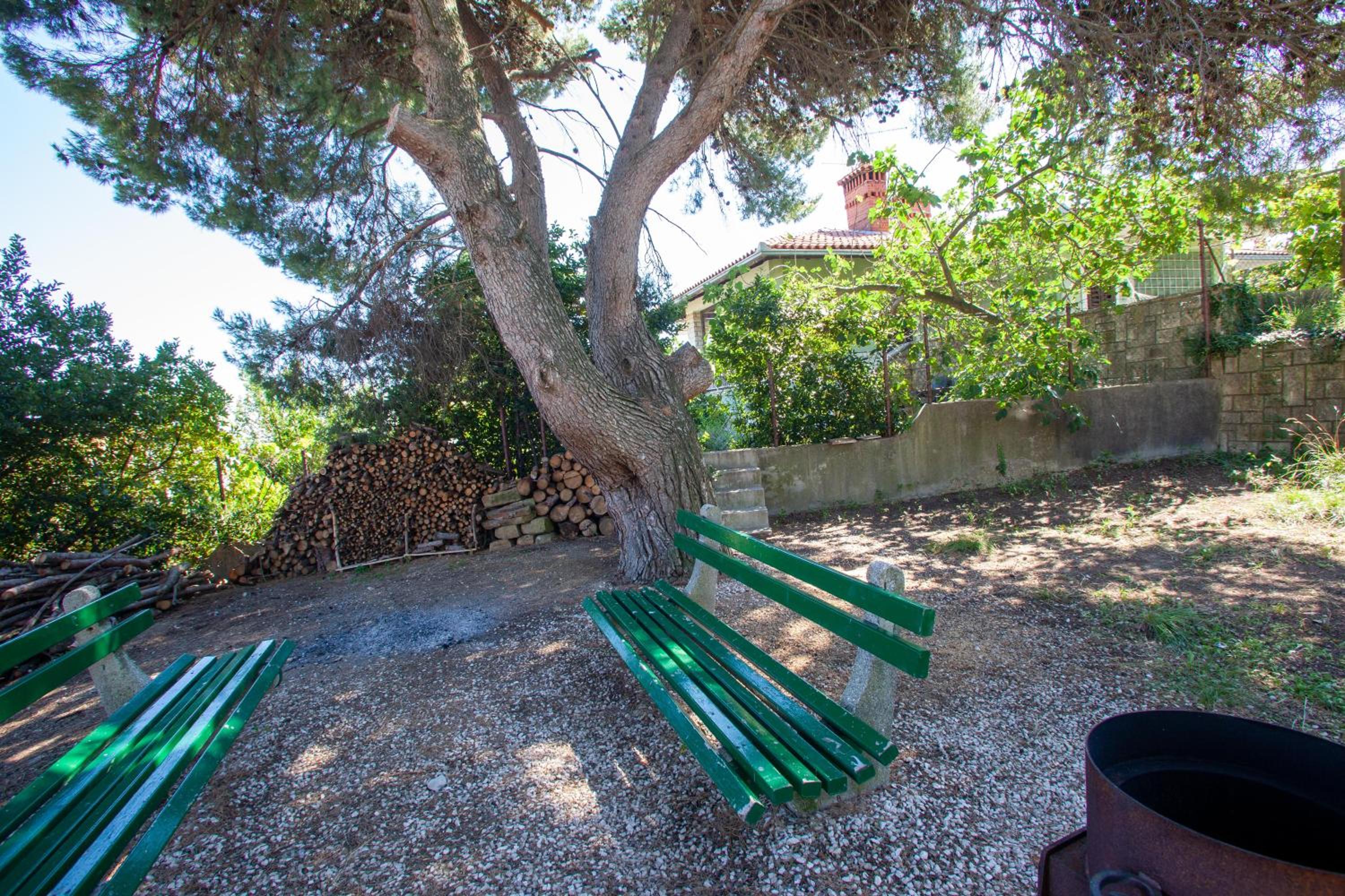 Photo 35