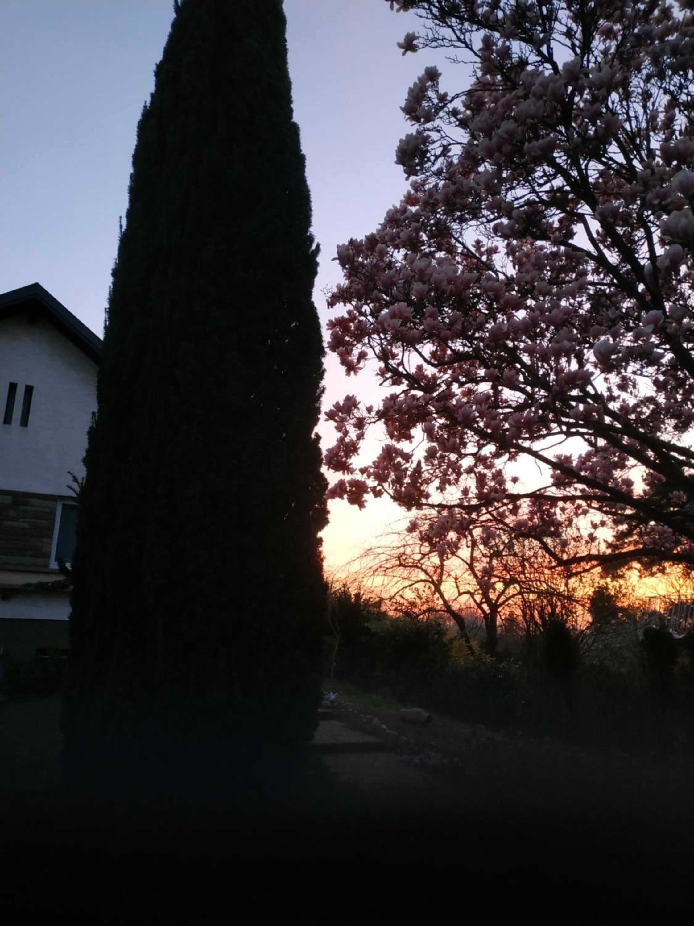Jardin Fleuri view 4