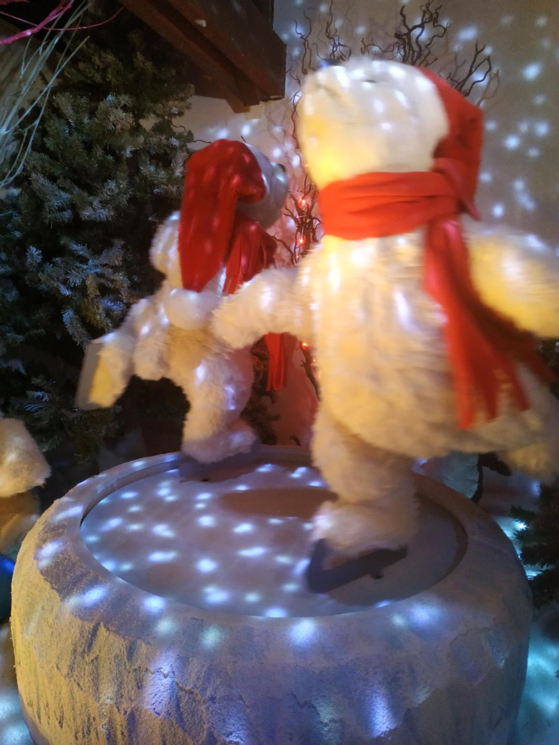 Photo 21