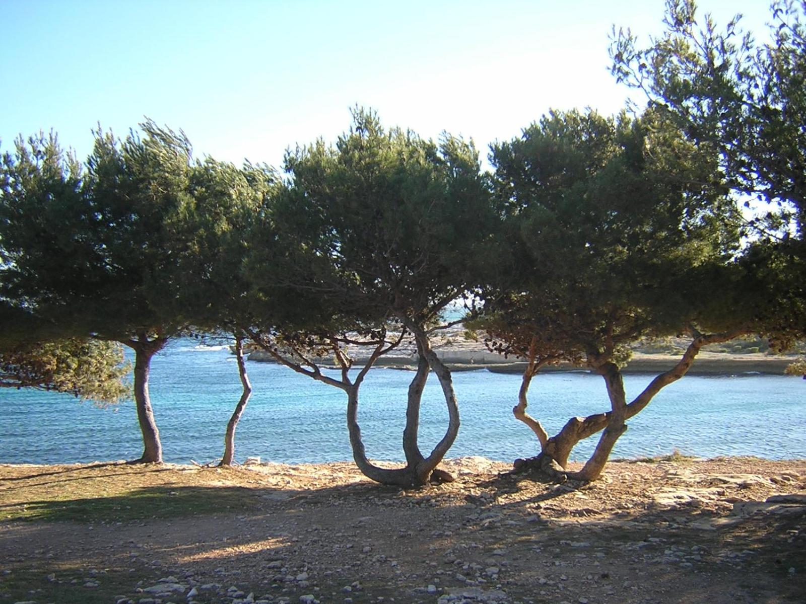 children's play area