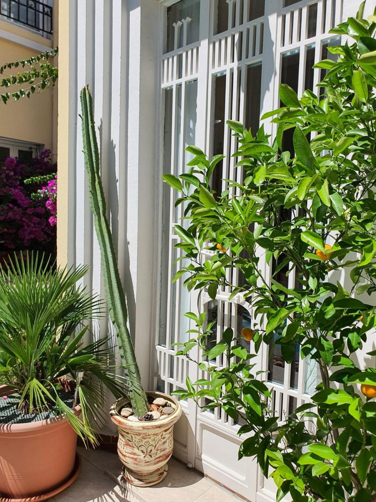 B&B Le Patio En Ville - Chambres d'hôtes