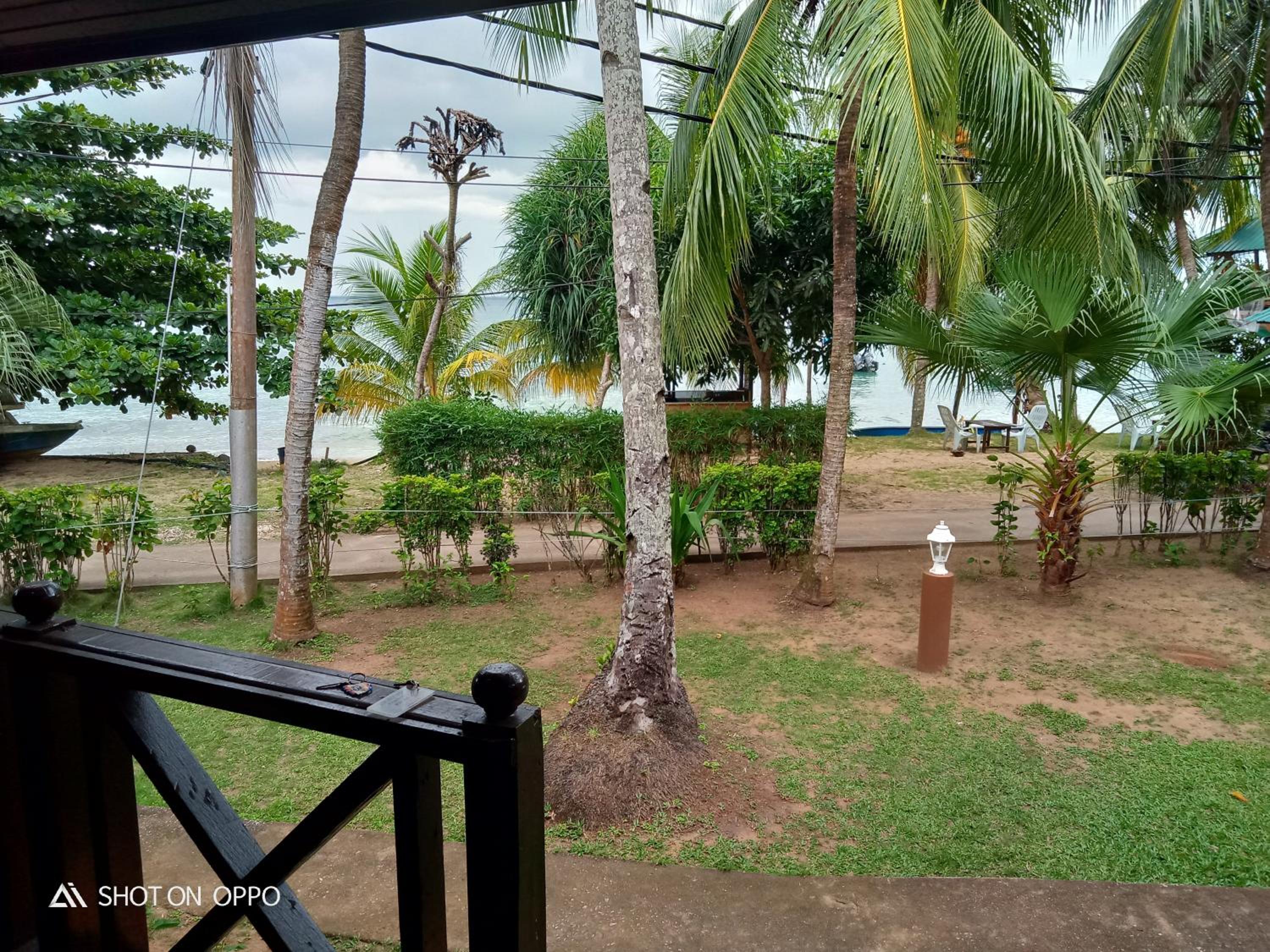 Nazri's Place 2 photo 7