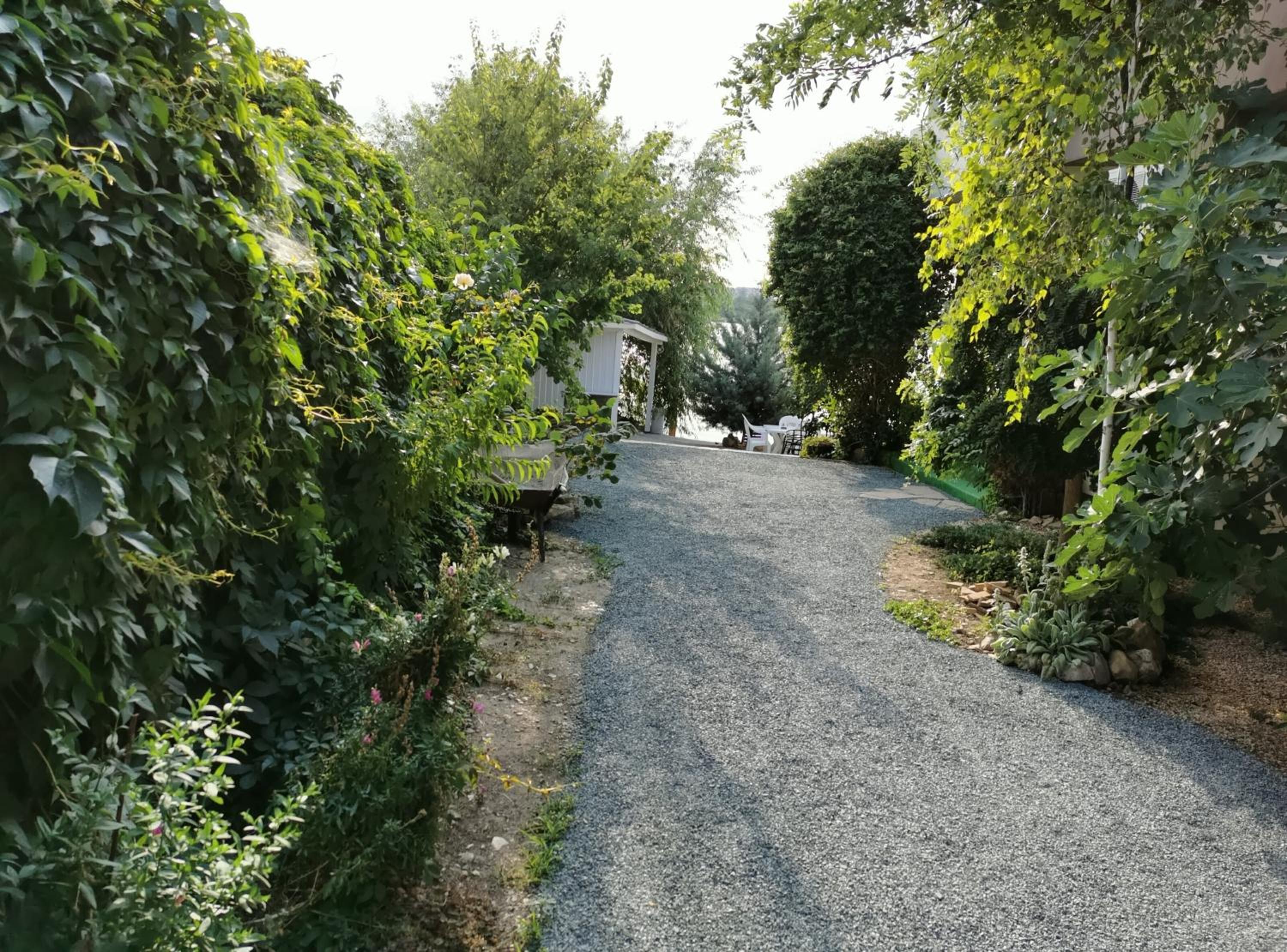 Photo 31