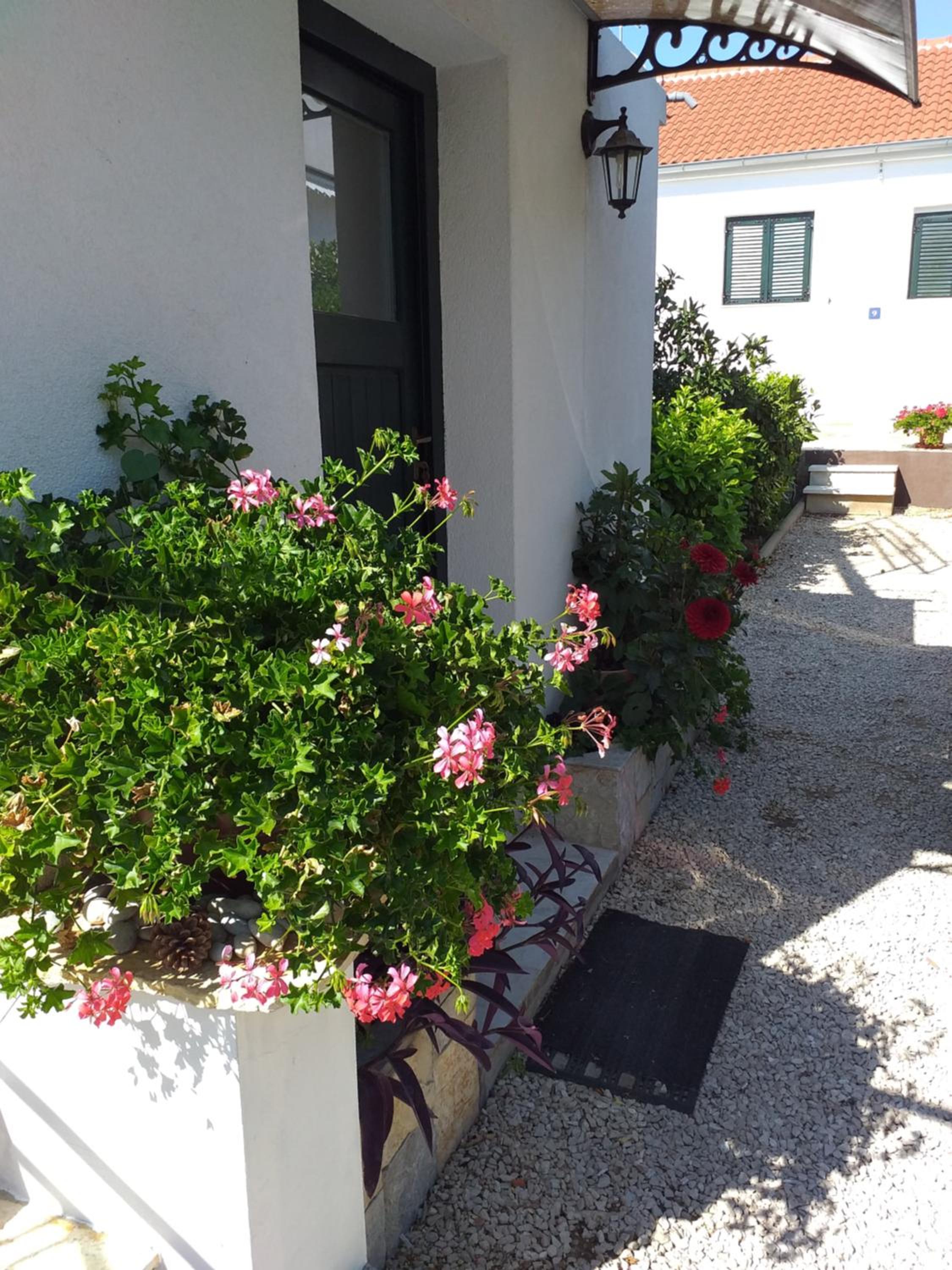 Photo 49