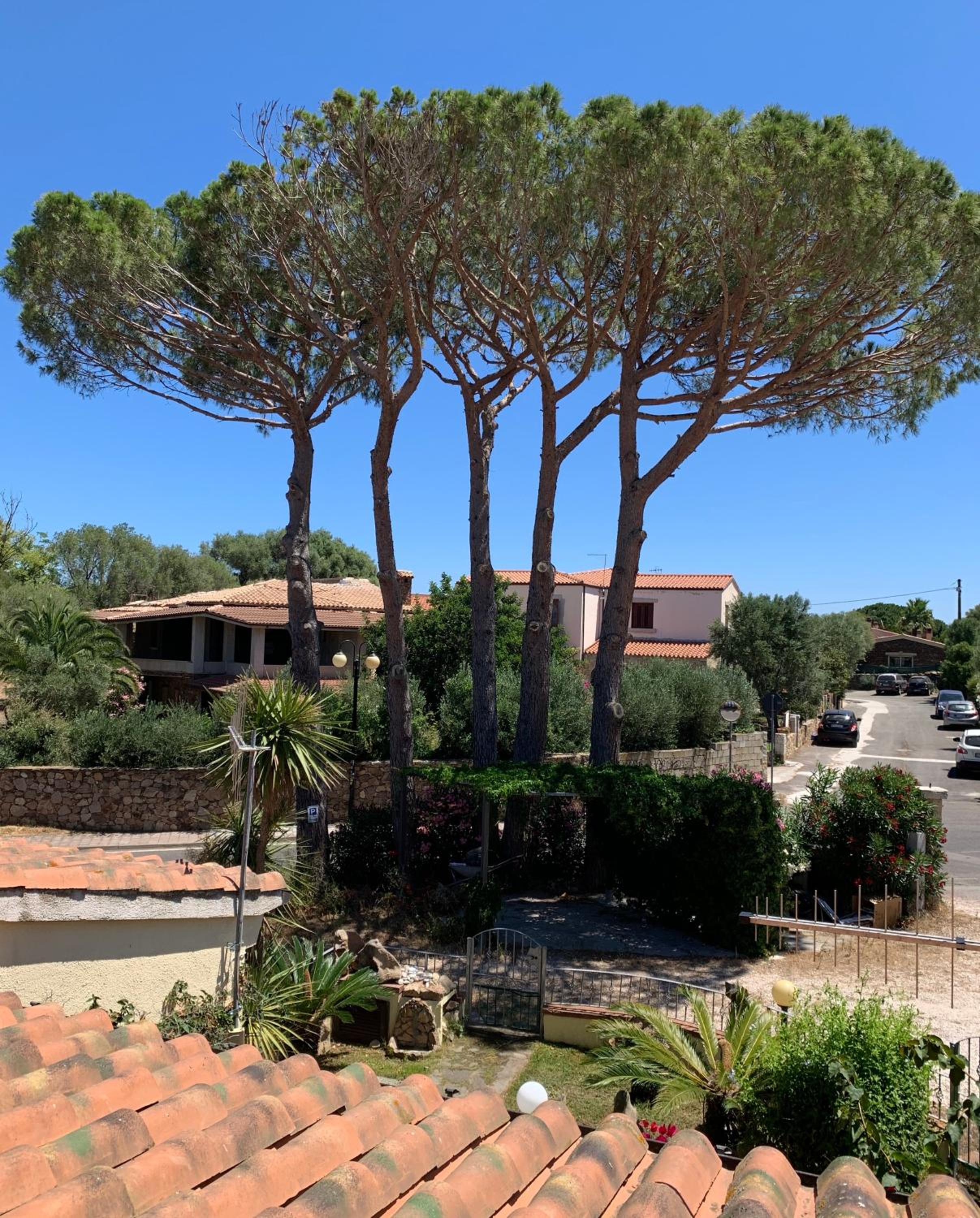 Brezza di Mare photo 3