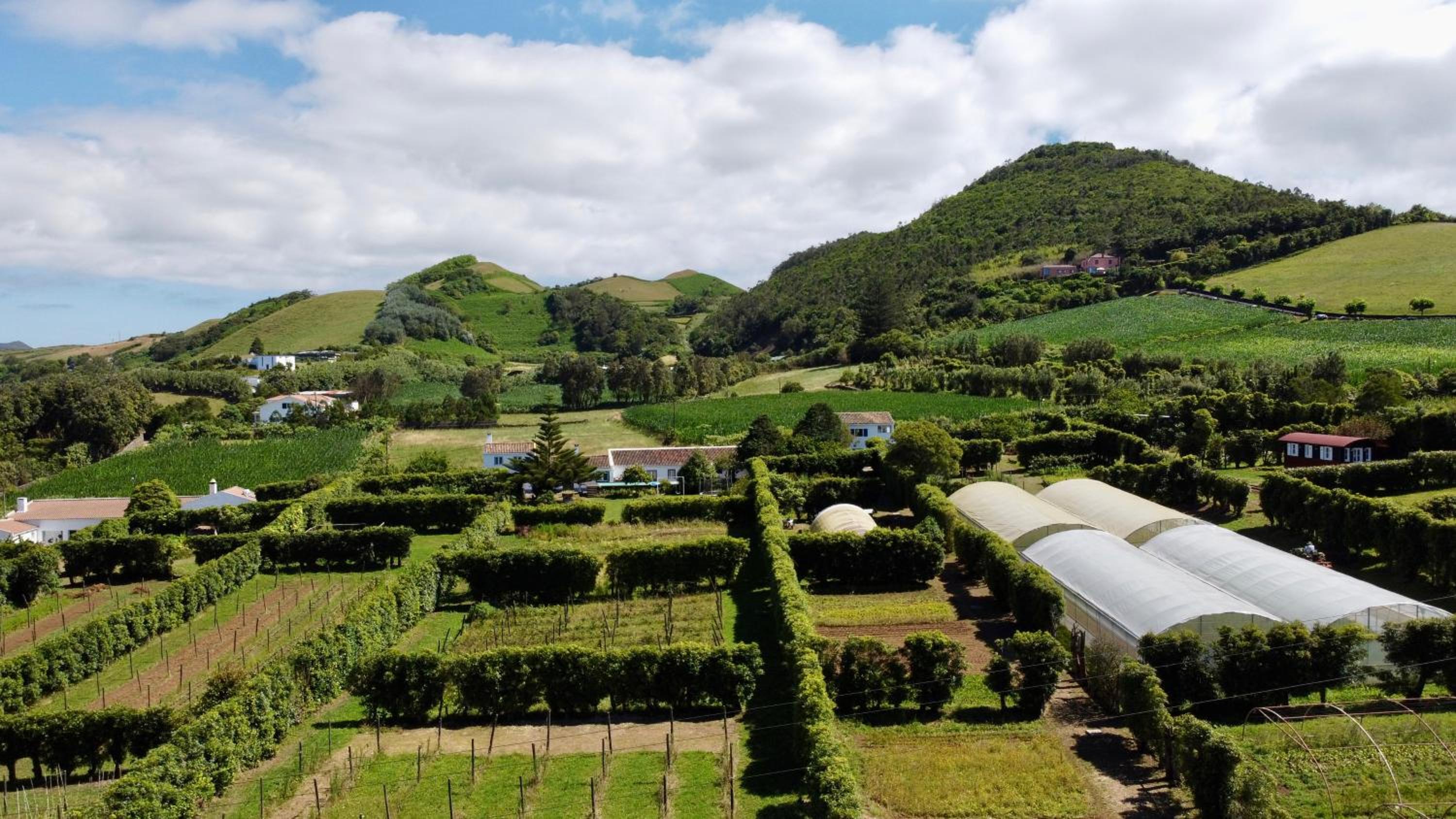 Quinta dos Sabores Farm Houses view 5