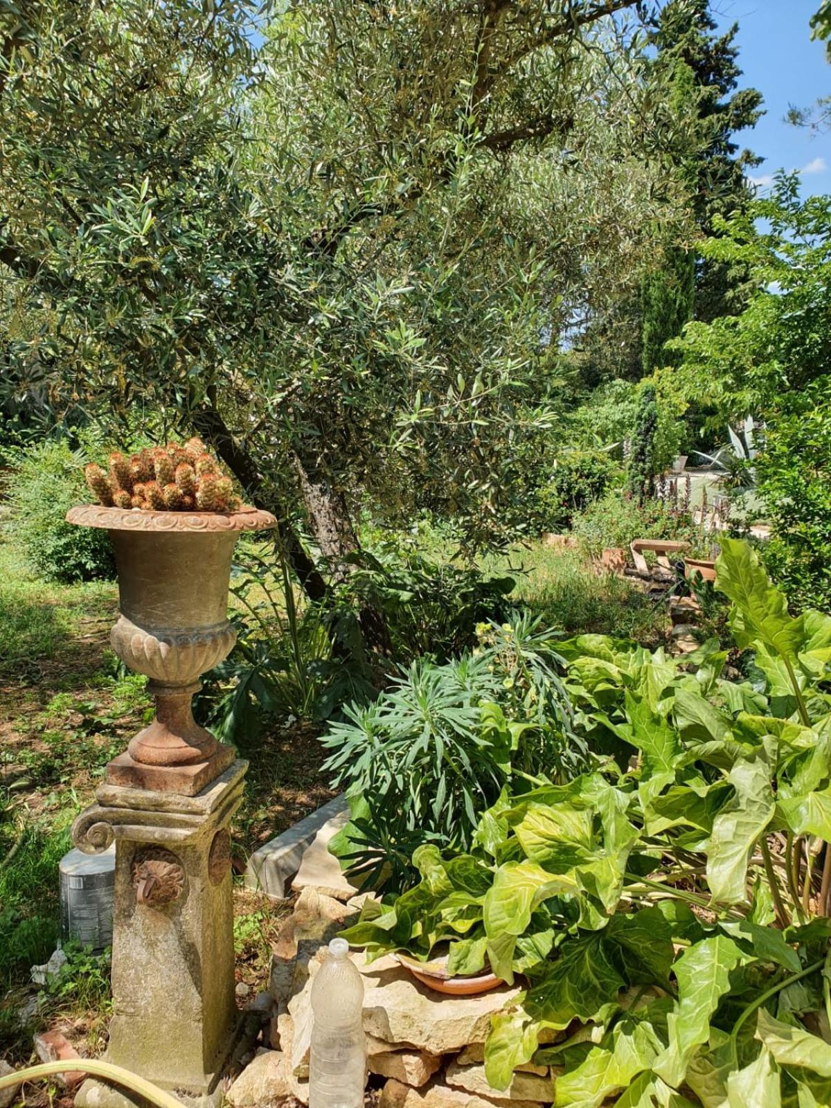 Photo 26