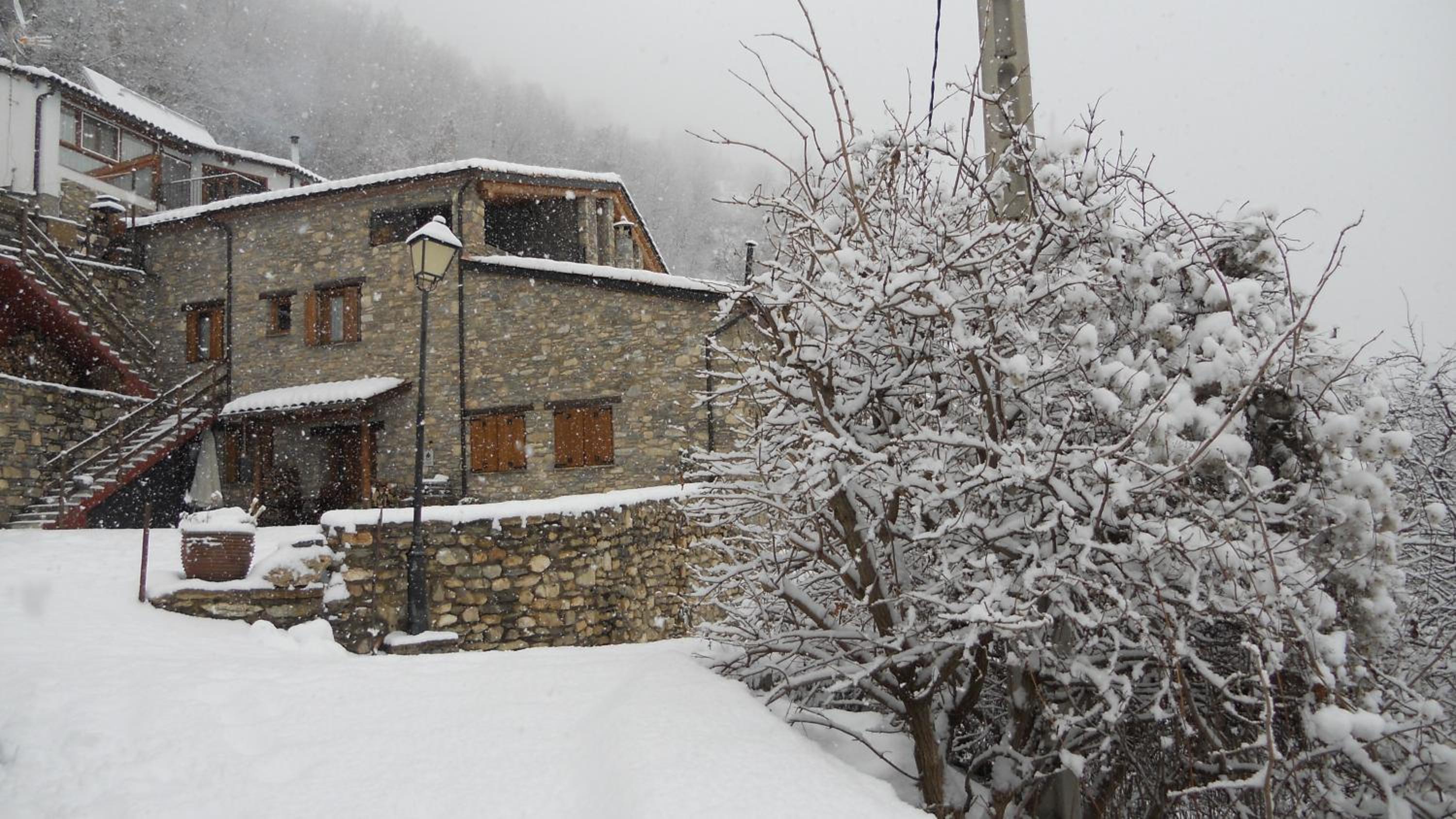 Casa Insol